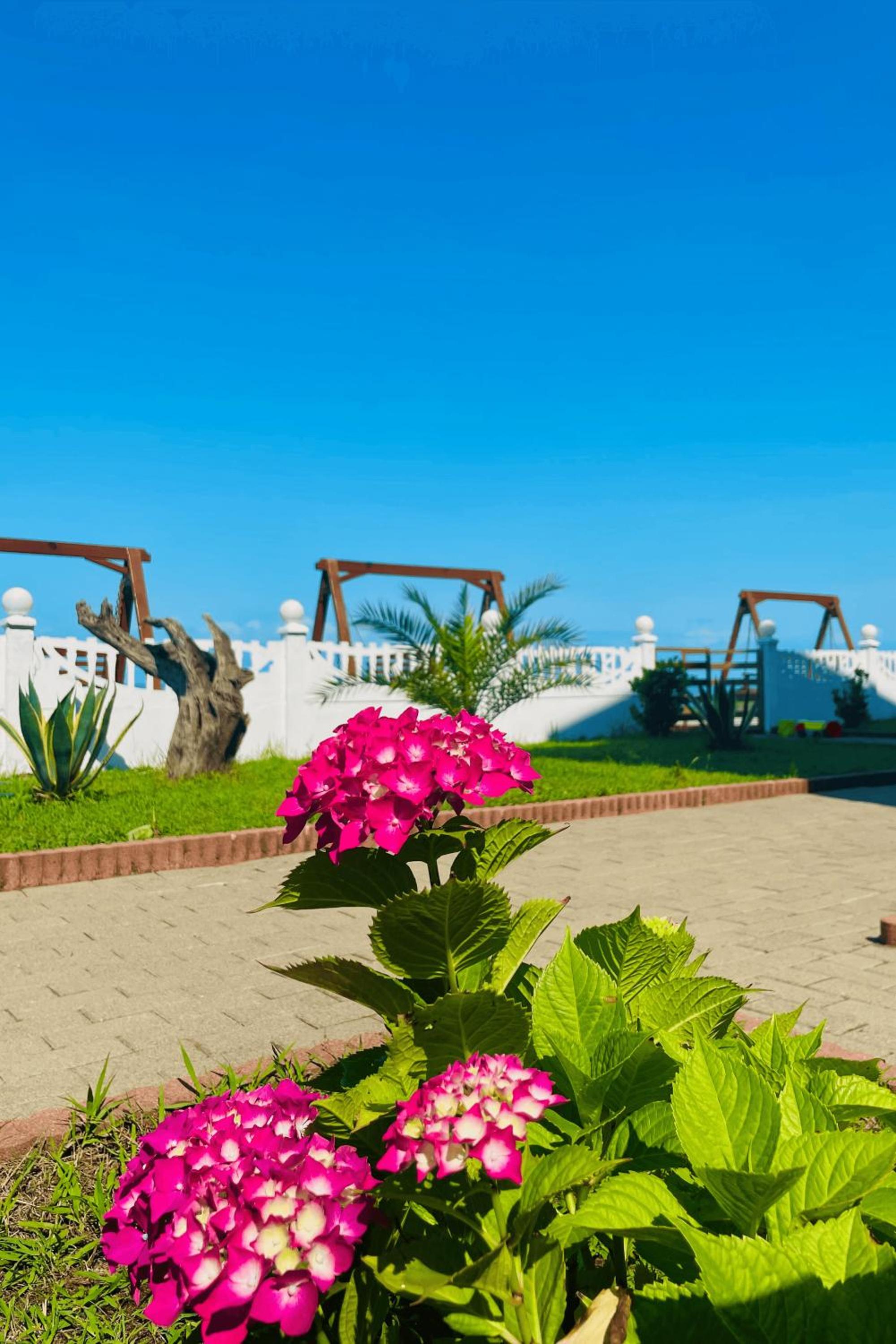 garden