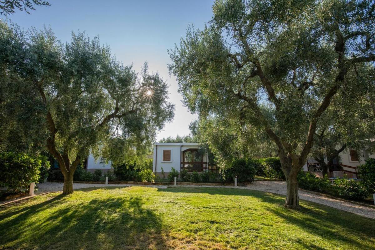 Holiday Apartment orchidea with swimming pool and private beach -2 view 5