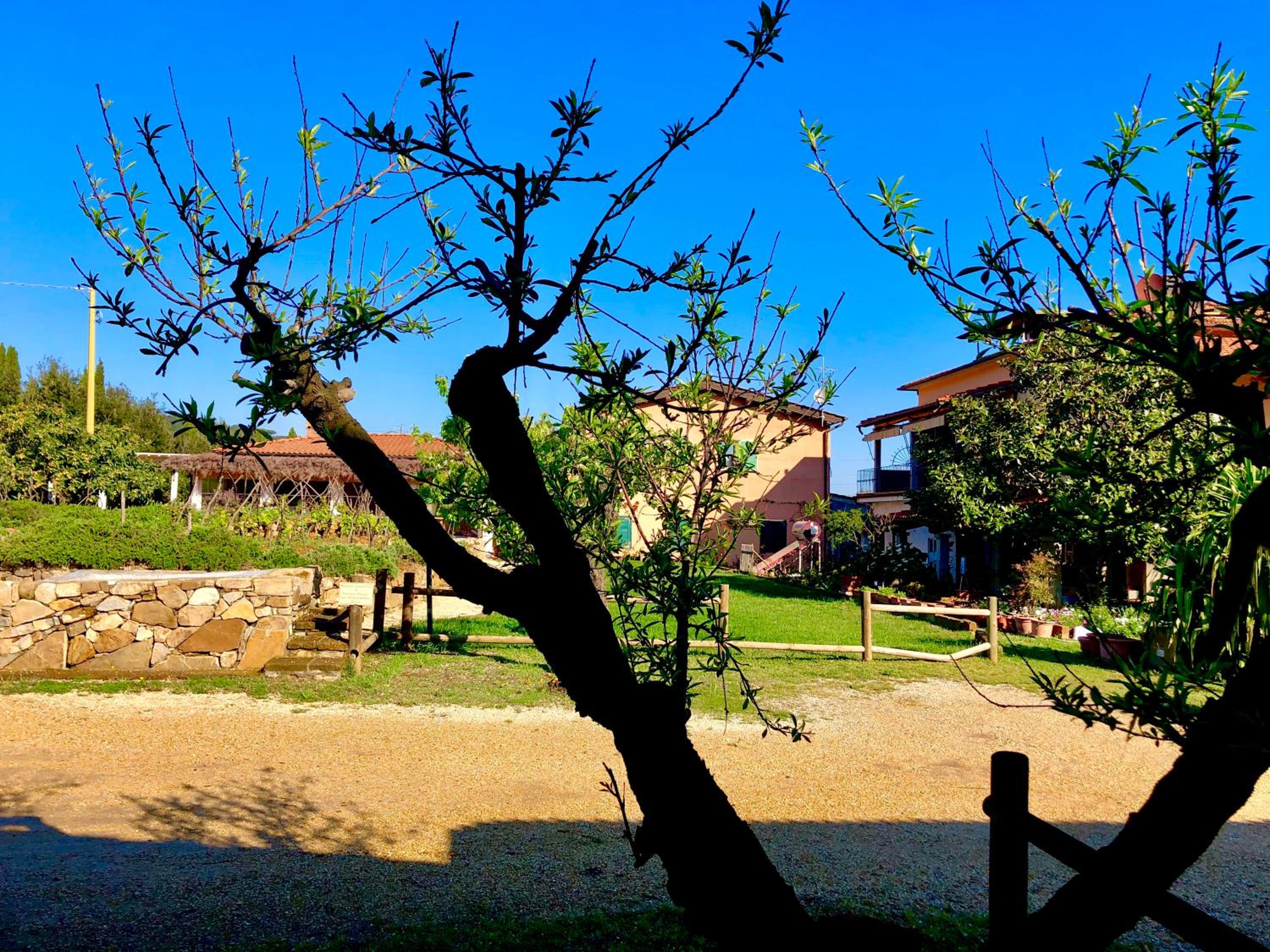 Agriturismo Montefabbrello