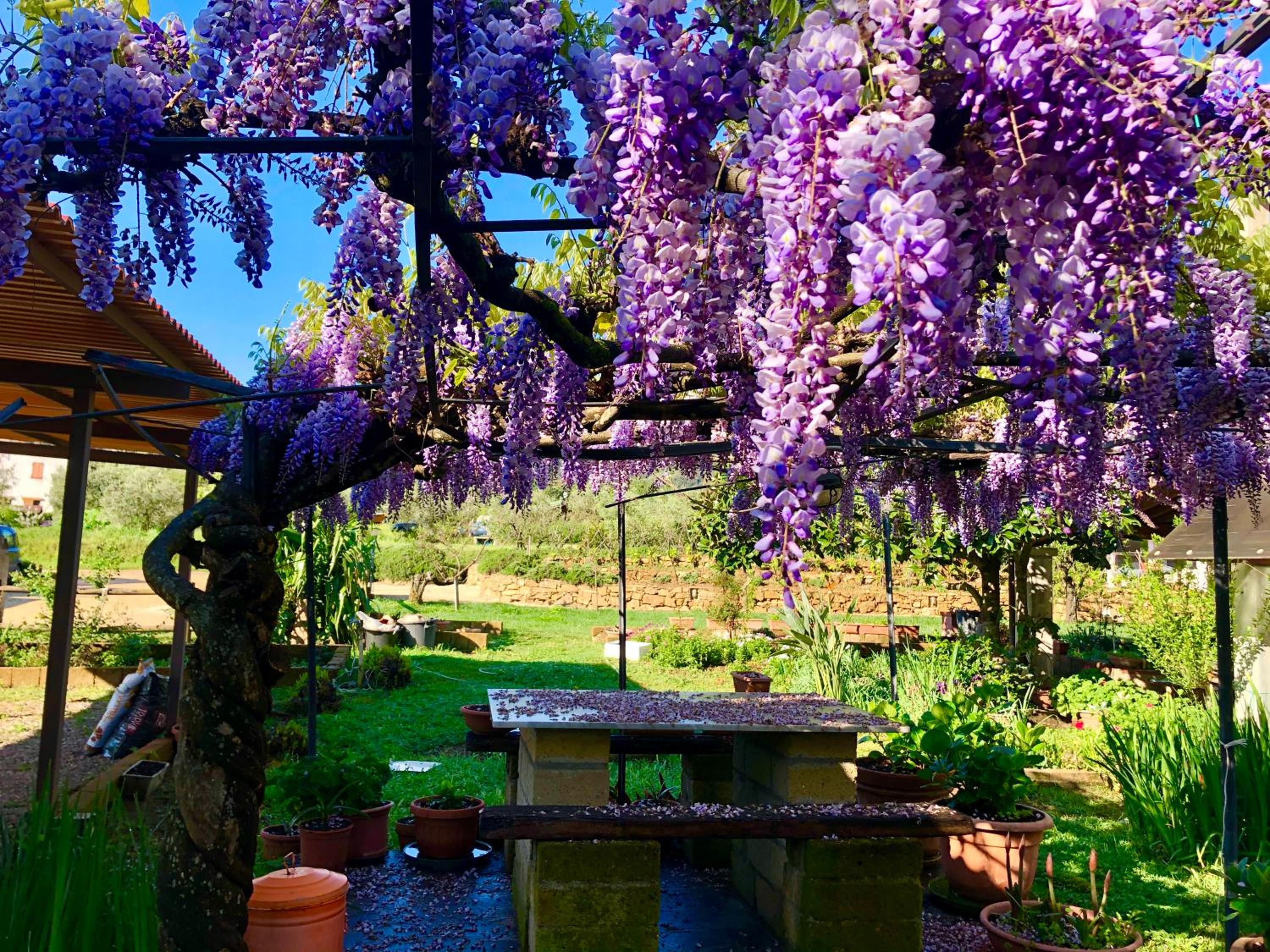 Agriturismo Montefabbrello