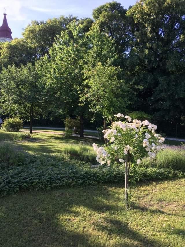 Photo 36