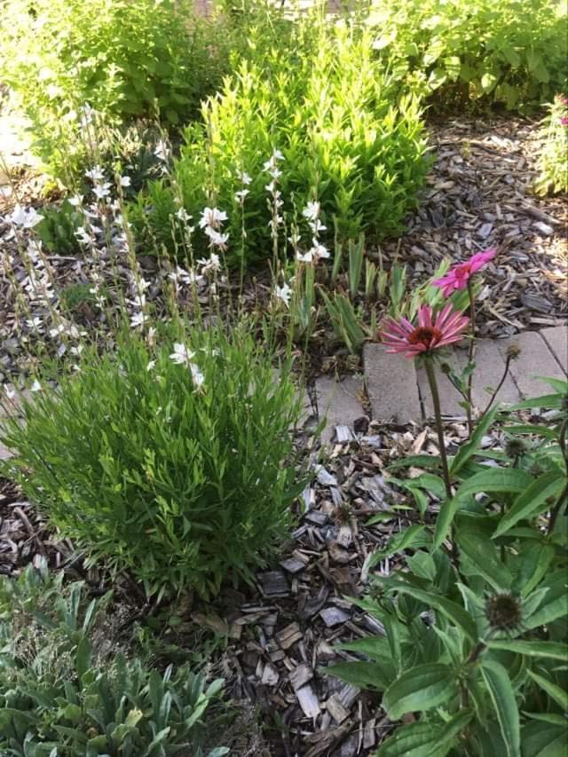 Photo 39