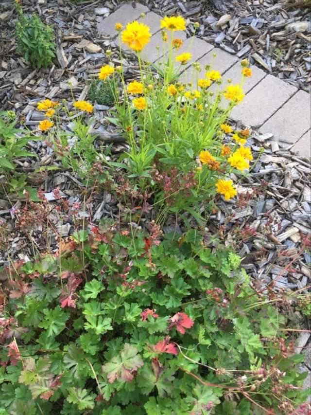 Photo 37