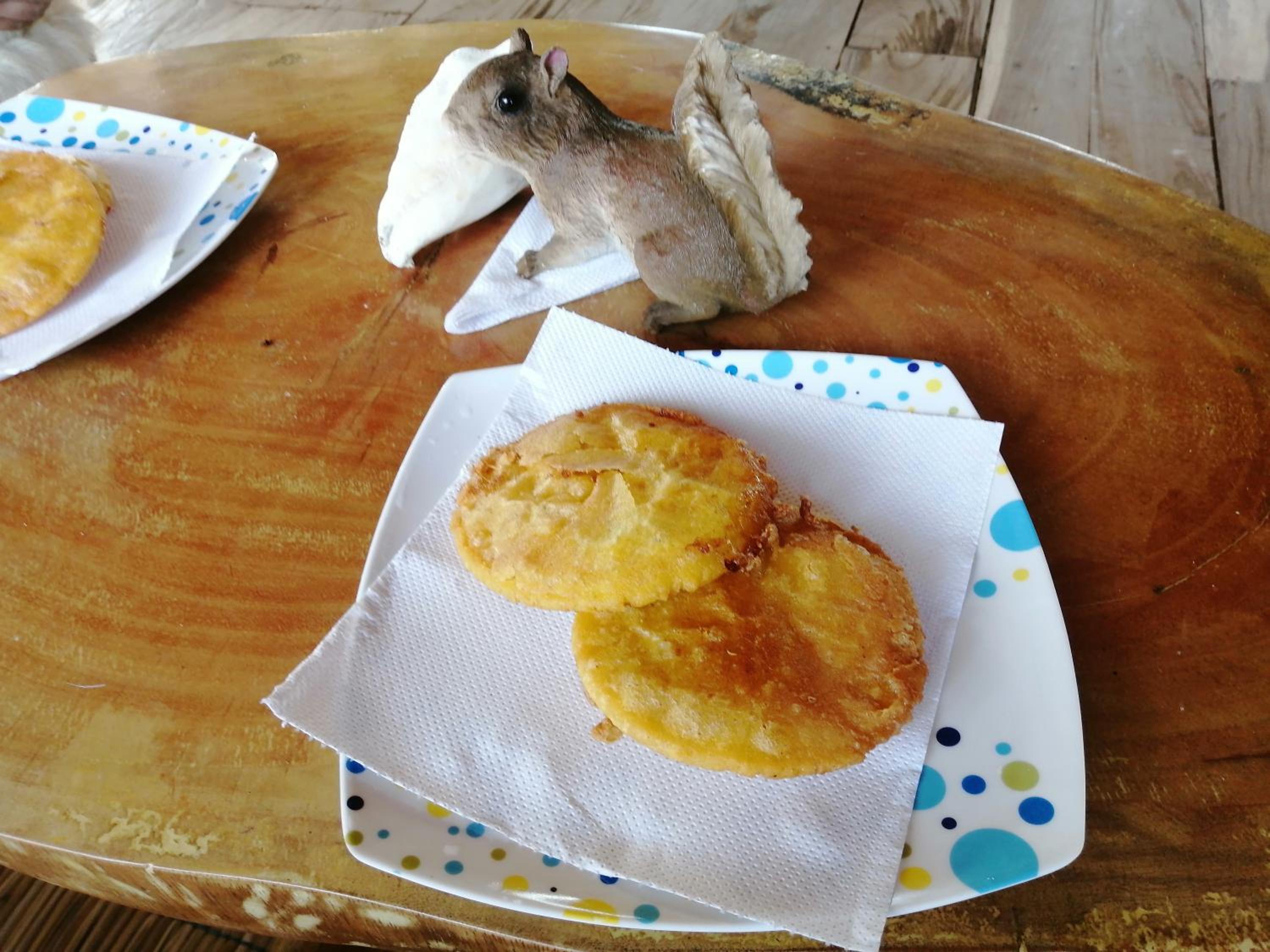 LA GAITERA Cabaña