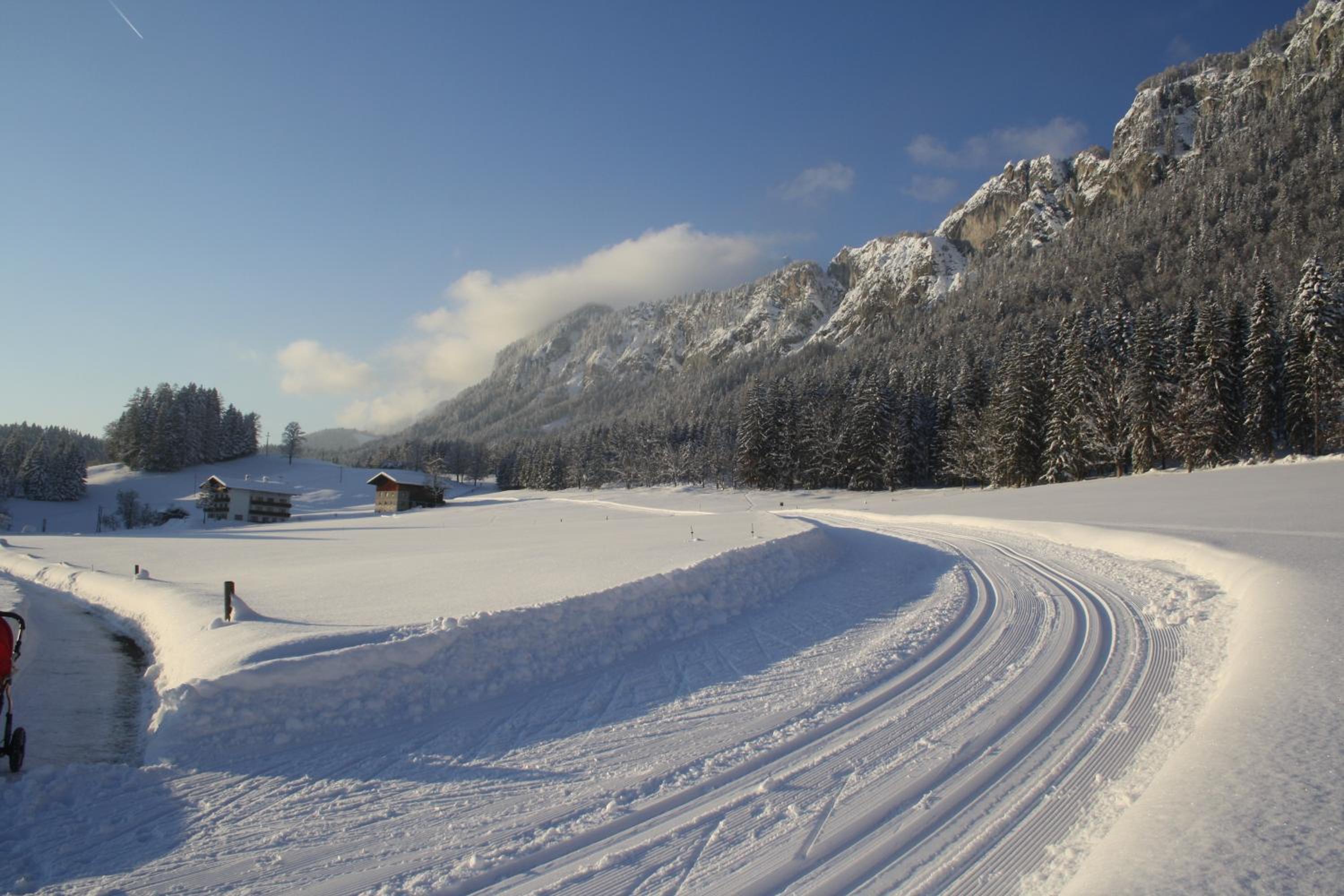 Berghof Haselsberger, photo 98