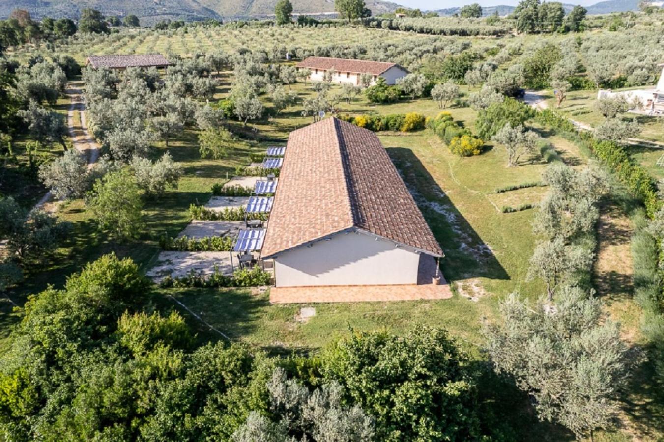 Agriturismo Il Bagolaro view 3