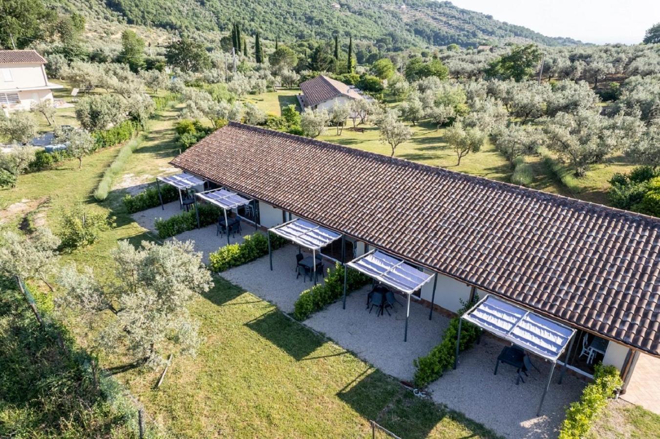 Agriturismo Il Bagolaro view 2