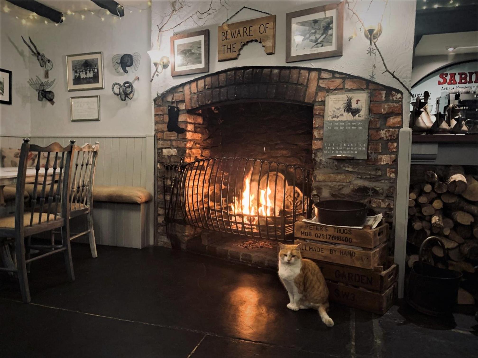 Molesworth Accommodation, Pyworthy, Devon view 2