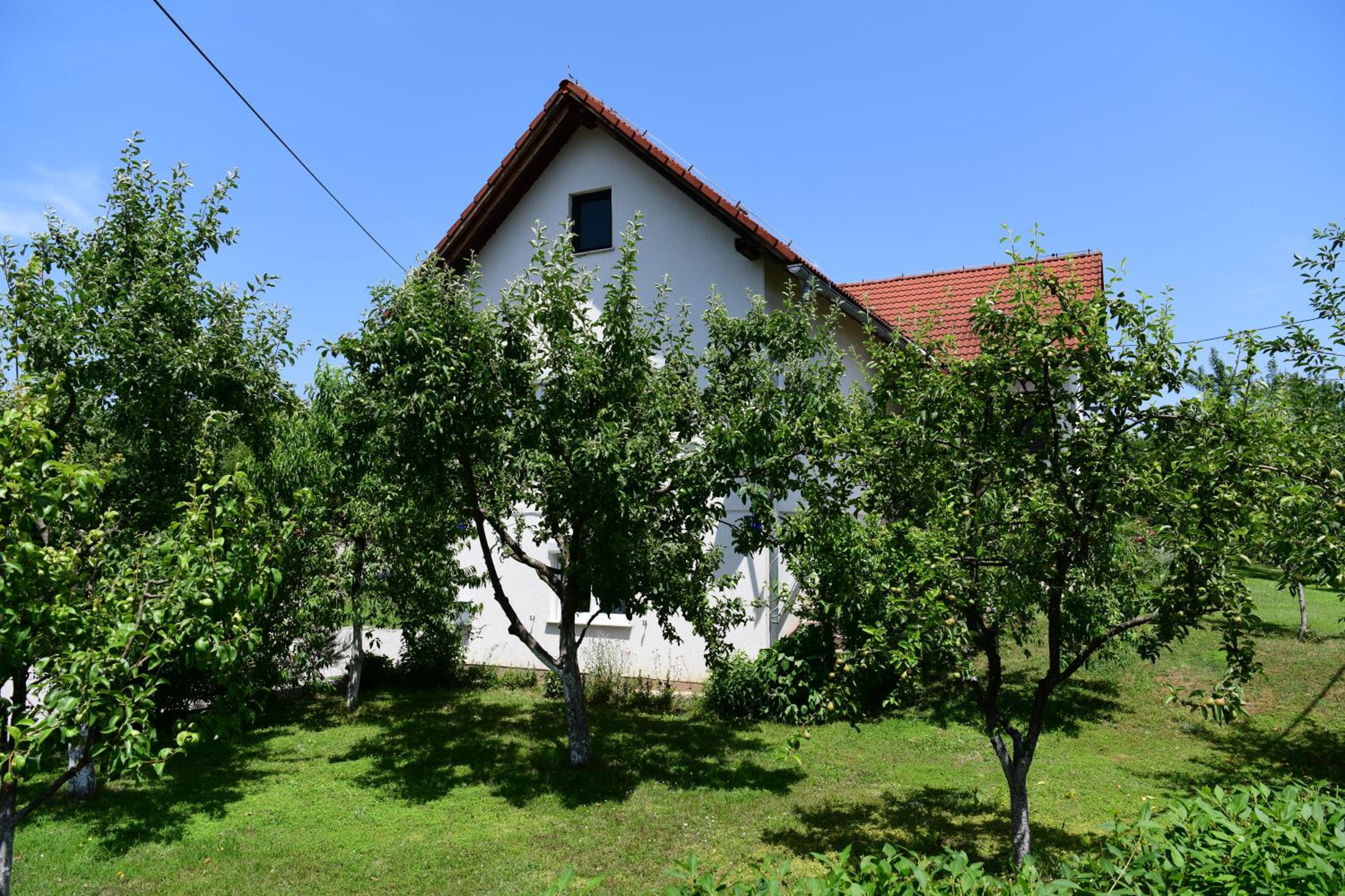 Photo 24