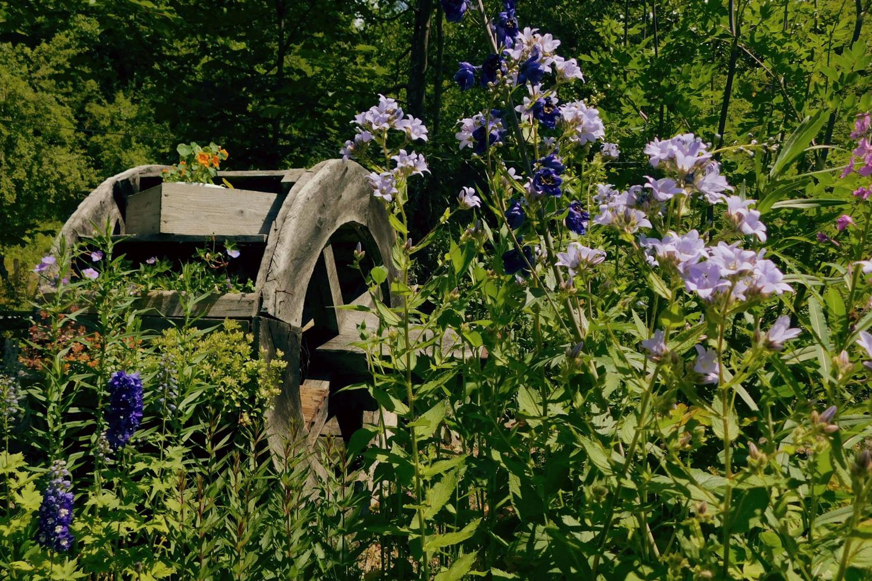 Photo 65