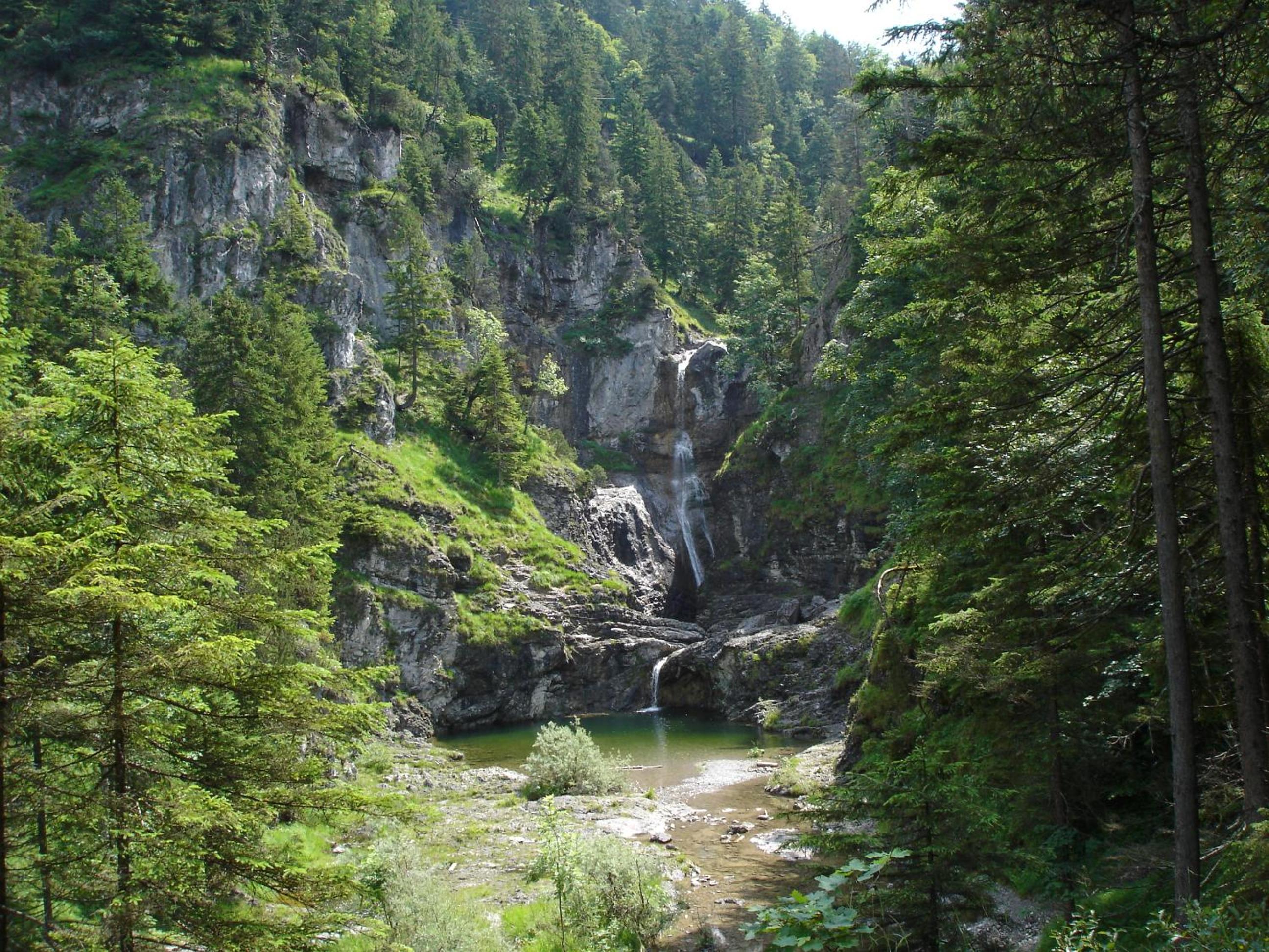 Photo 24