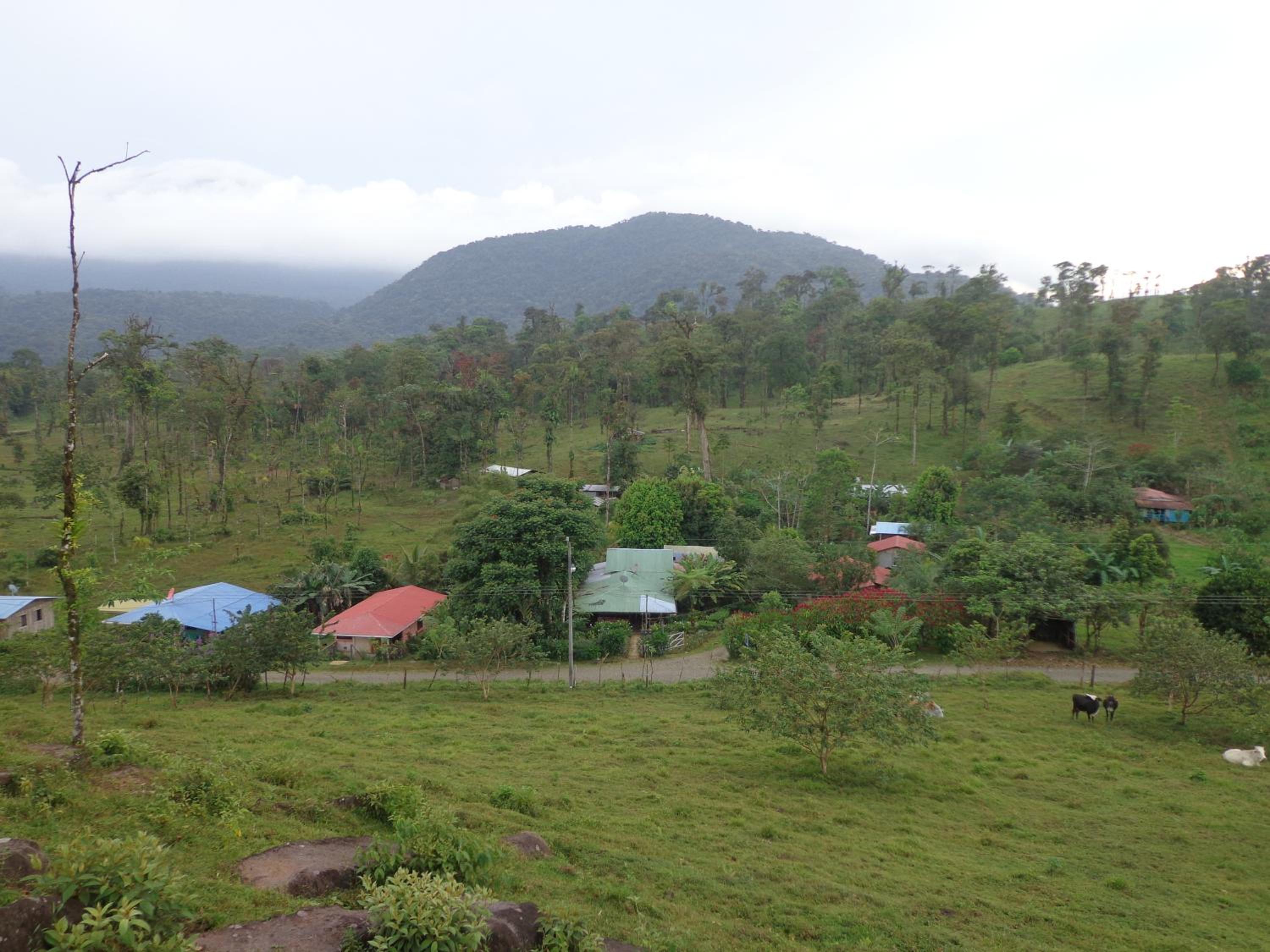 Posada Río Celeste La Amistad