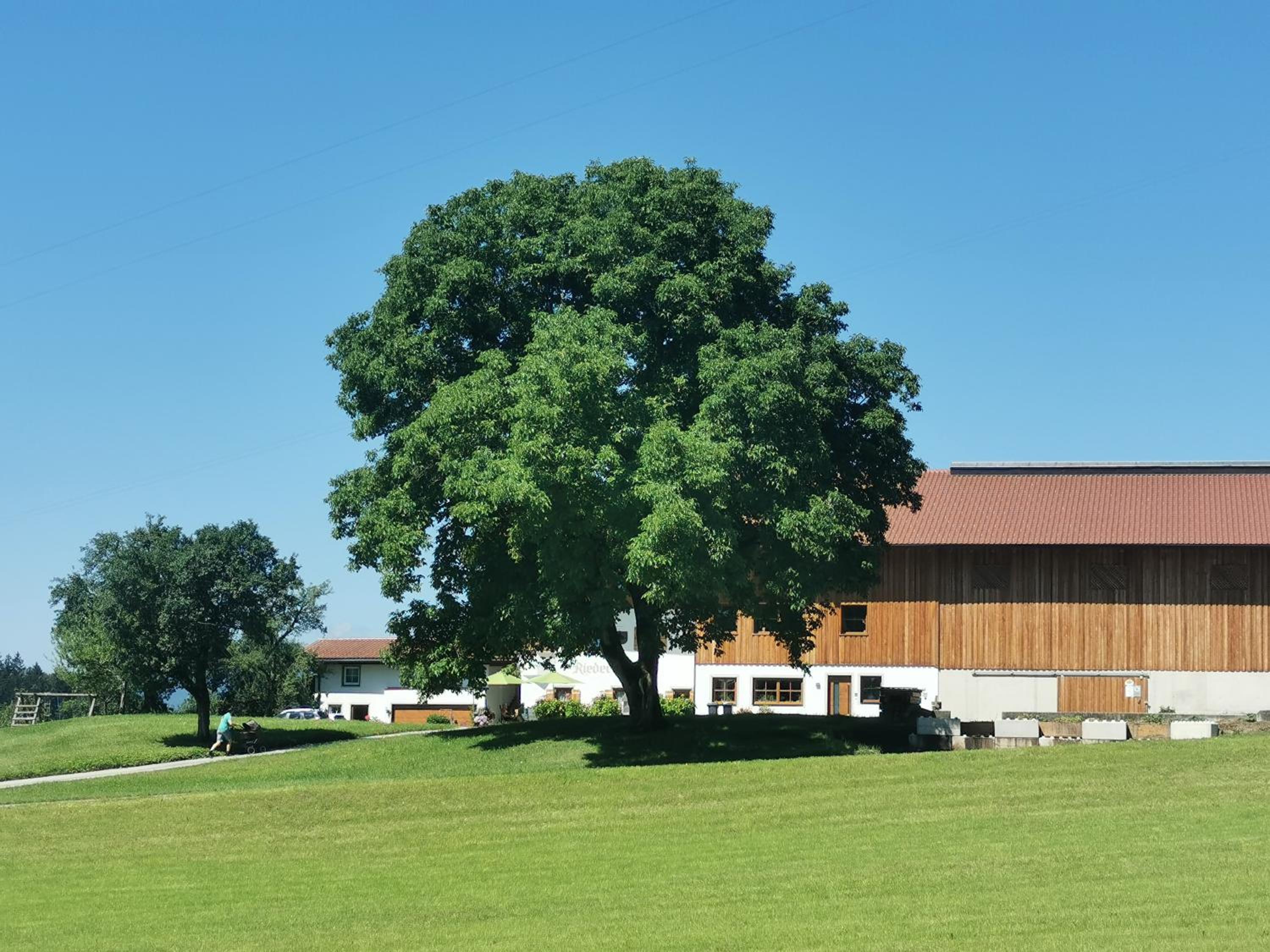 Biobauernhof und Ferienhaus Riederbauer