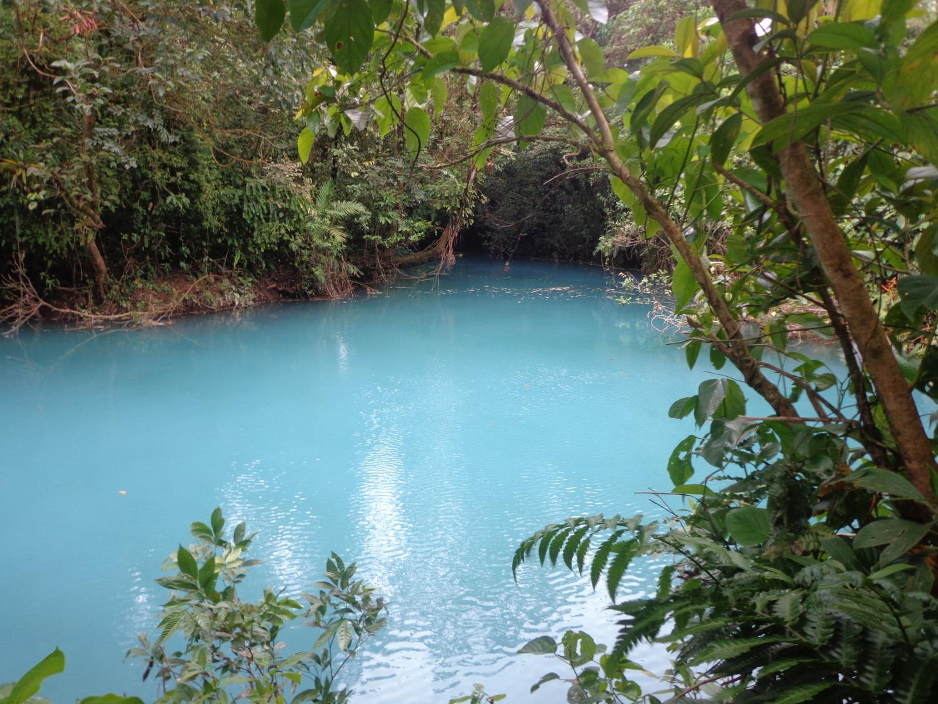 Posada Río Celeste La Amistad