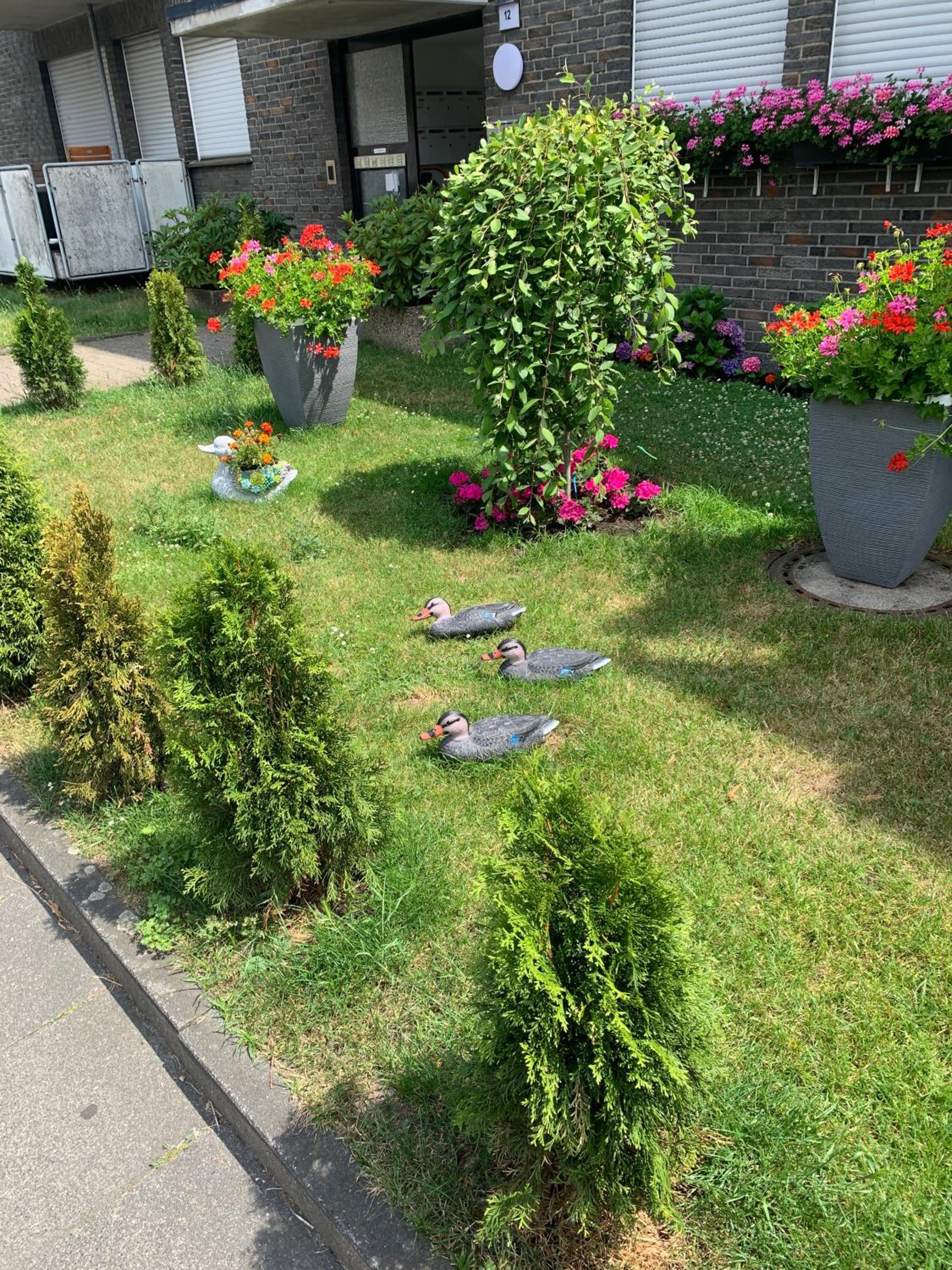 Home24 en Oberhausen — other