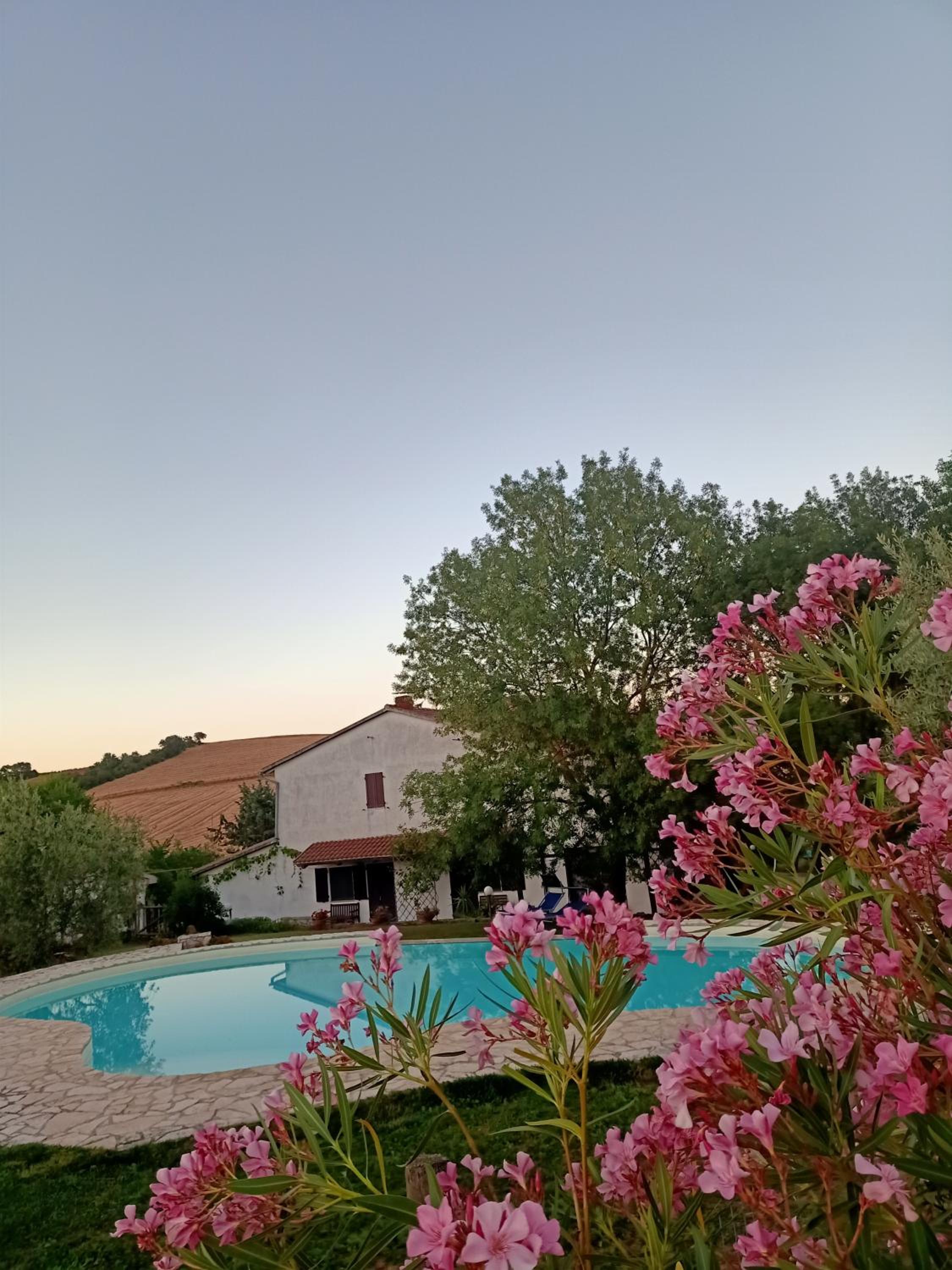 Agriturismo La Locandiera