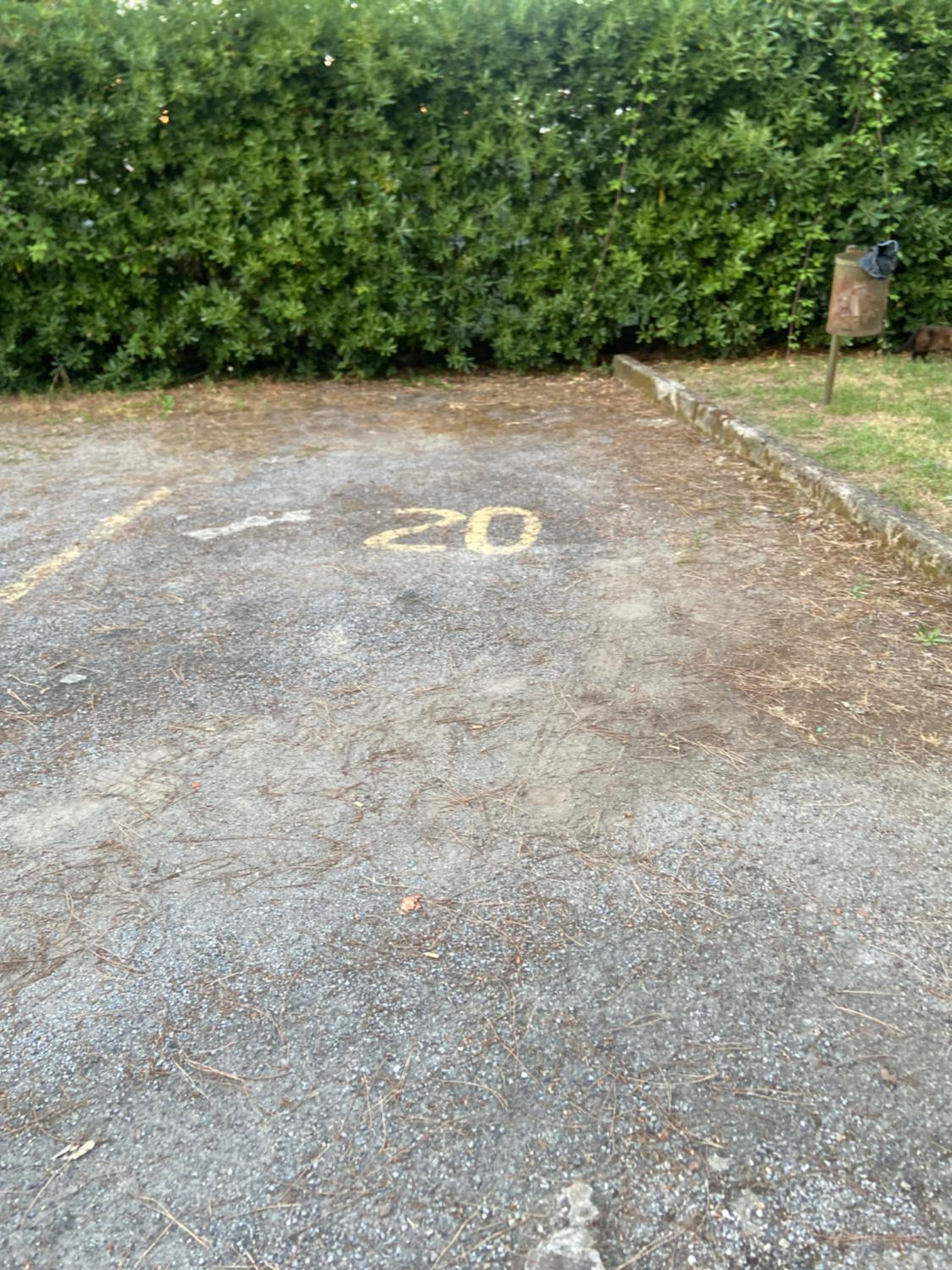 Photo 45