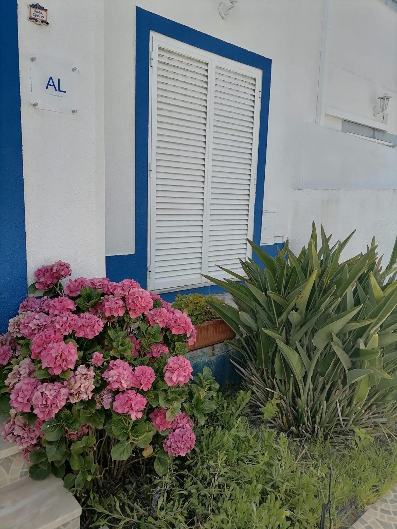 Alojamento Local Família Coelho view 3