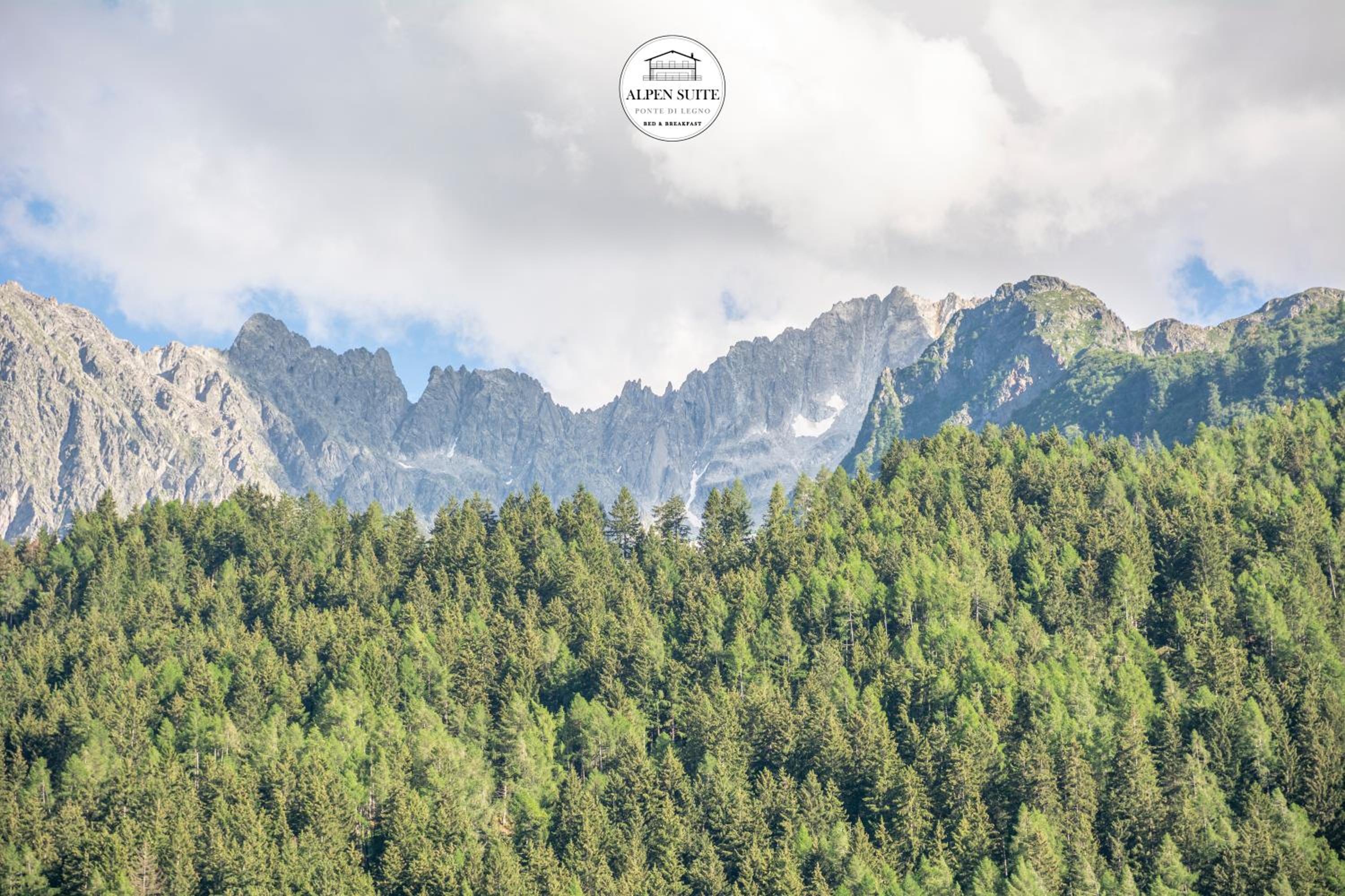 B&B Alpen Suite Ponte di Legno photo 4