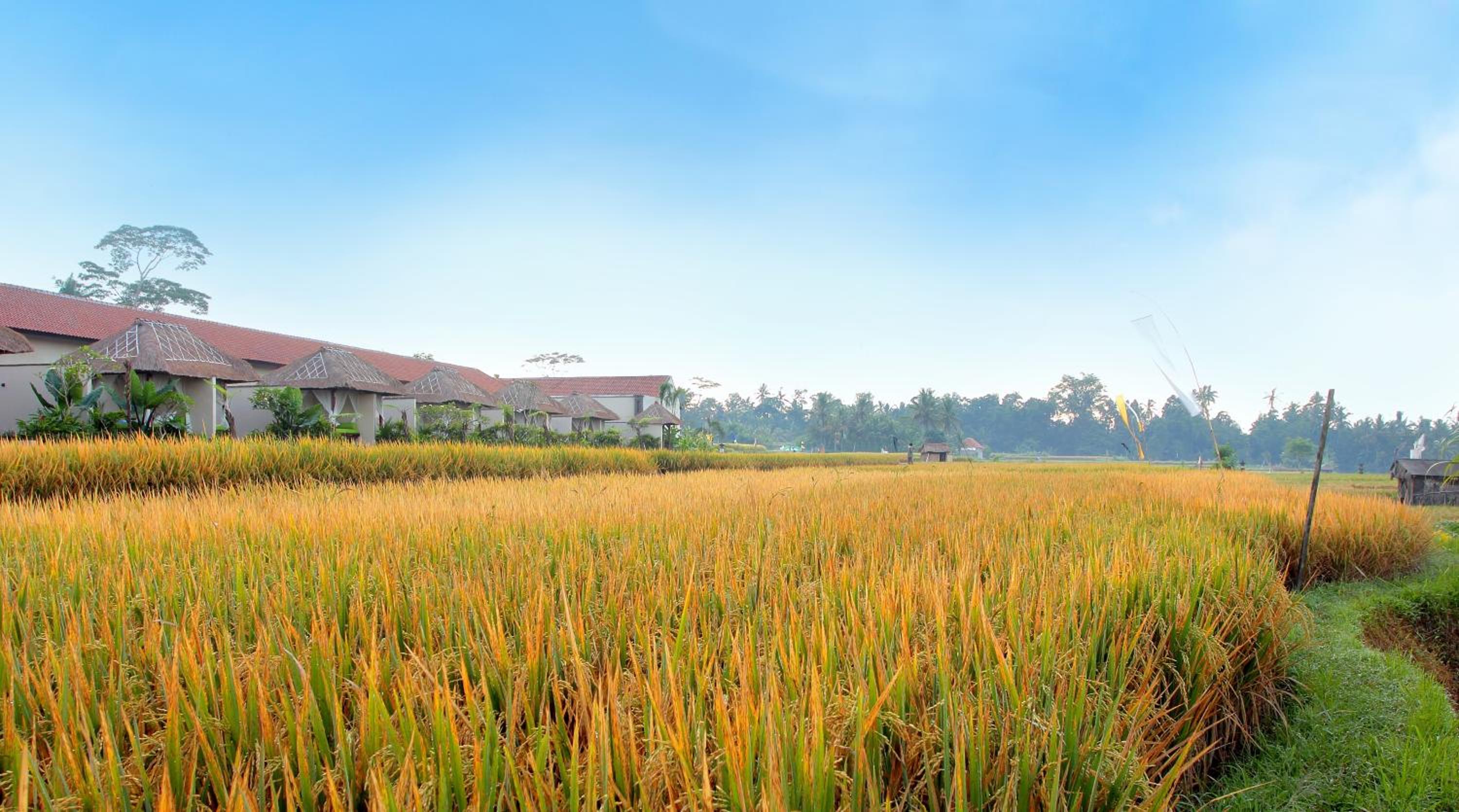 Alam Puisi Villa Ubud