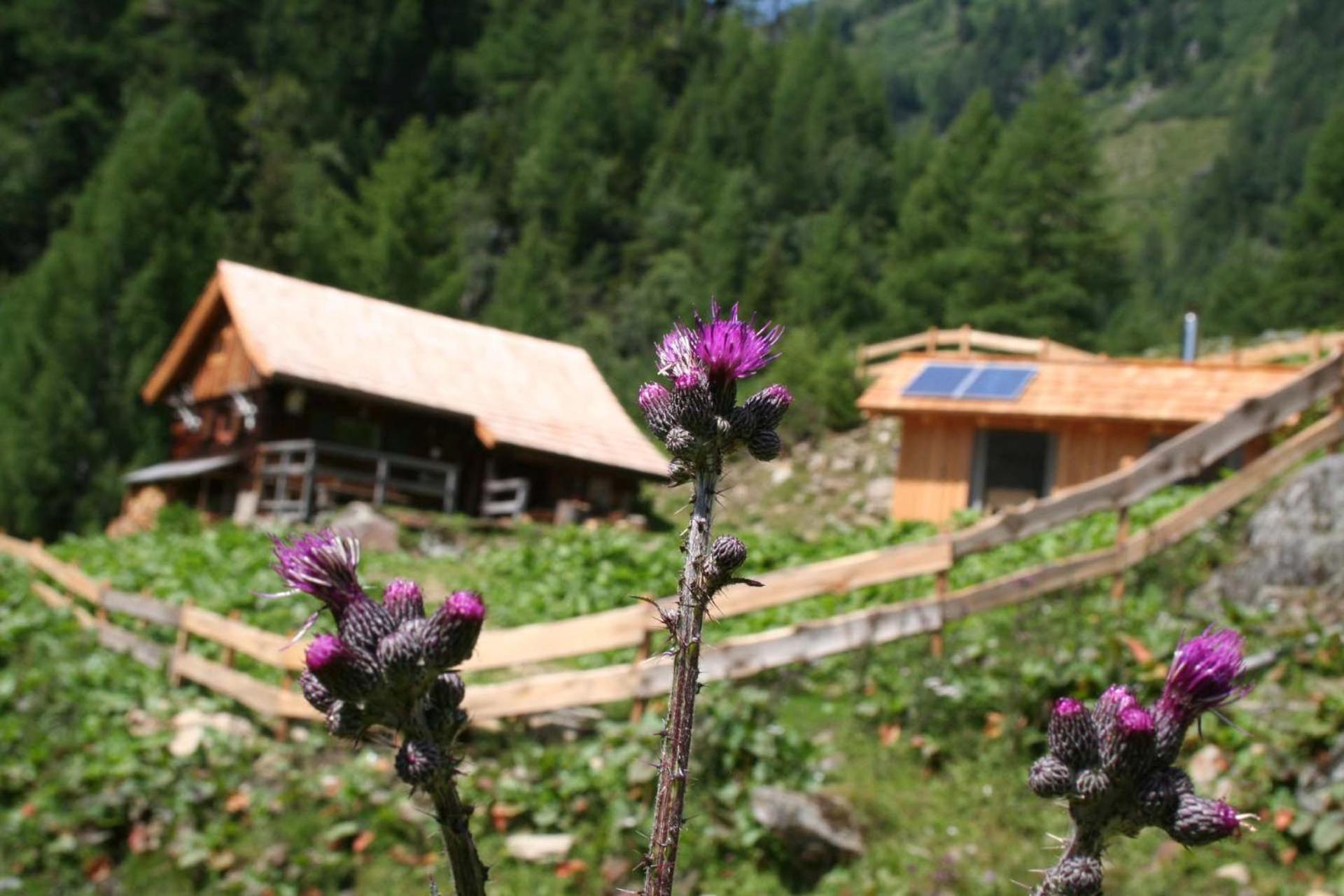 Landgut Moserhof