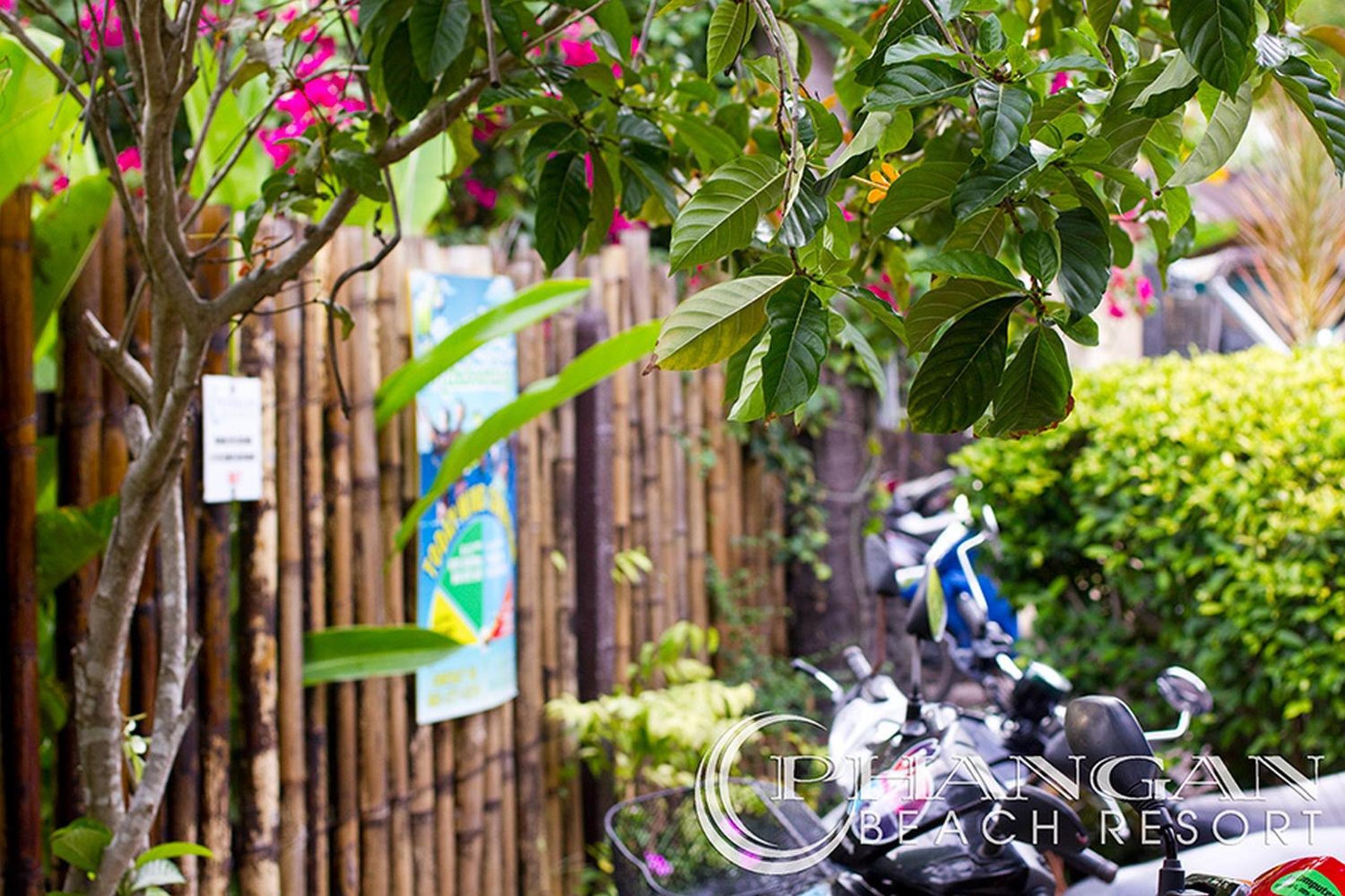 Phangan Beach Resort