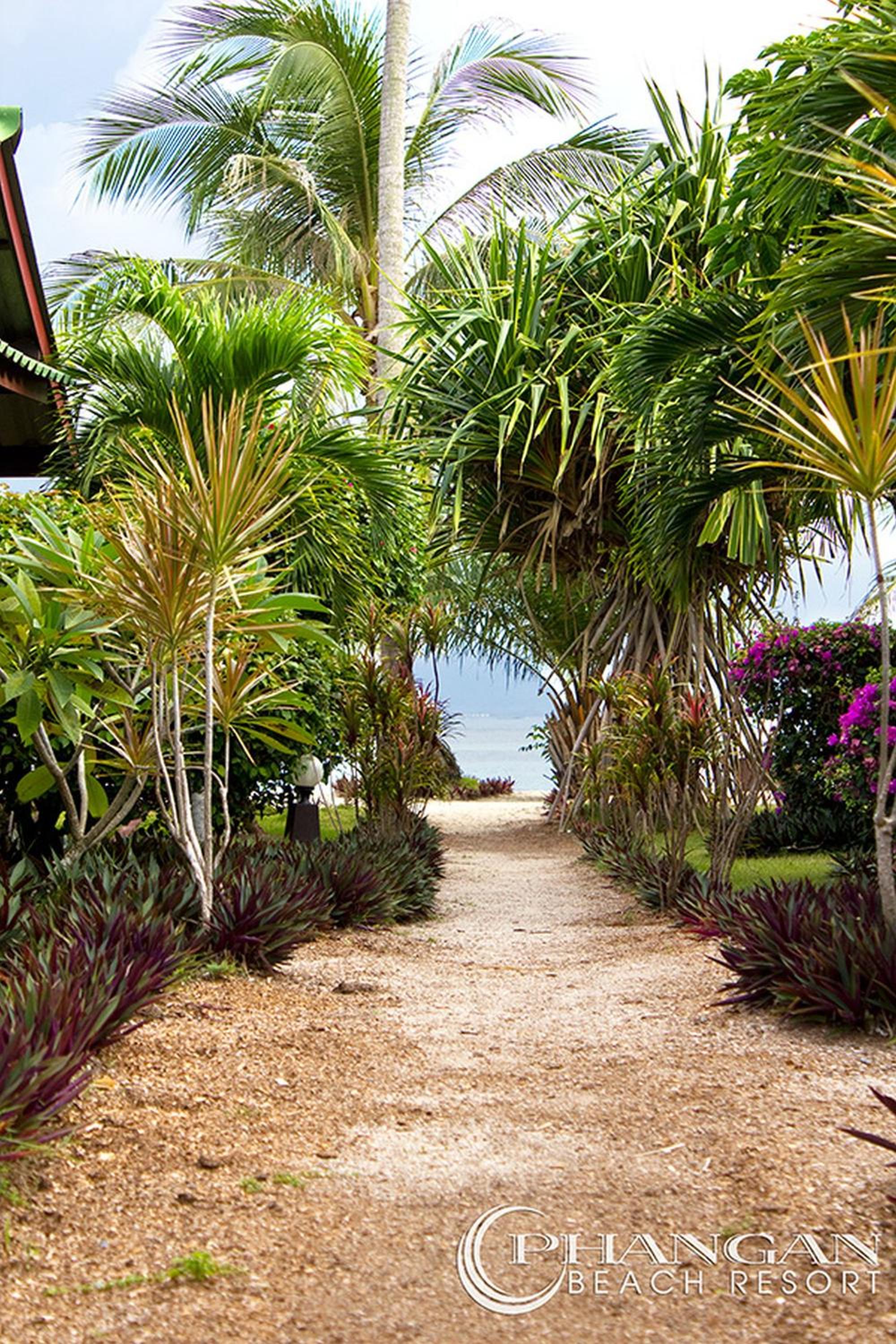 Phangan Beach Resort