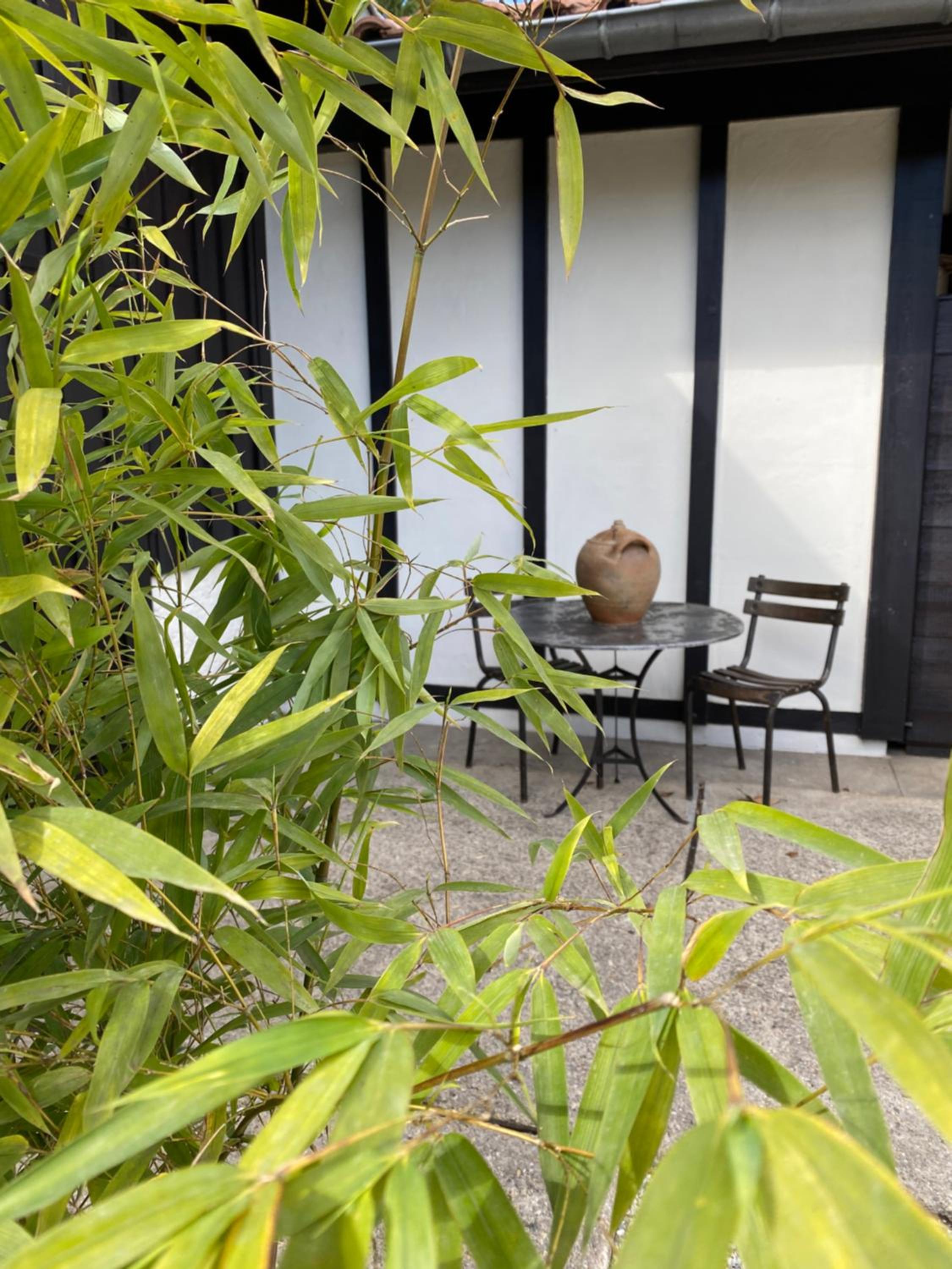 Photo 22