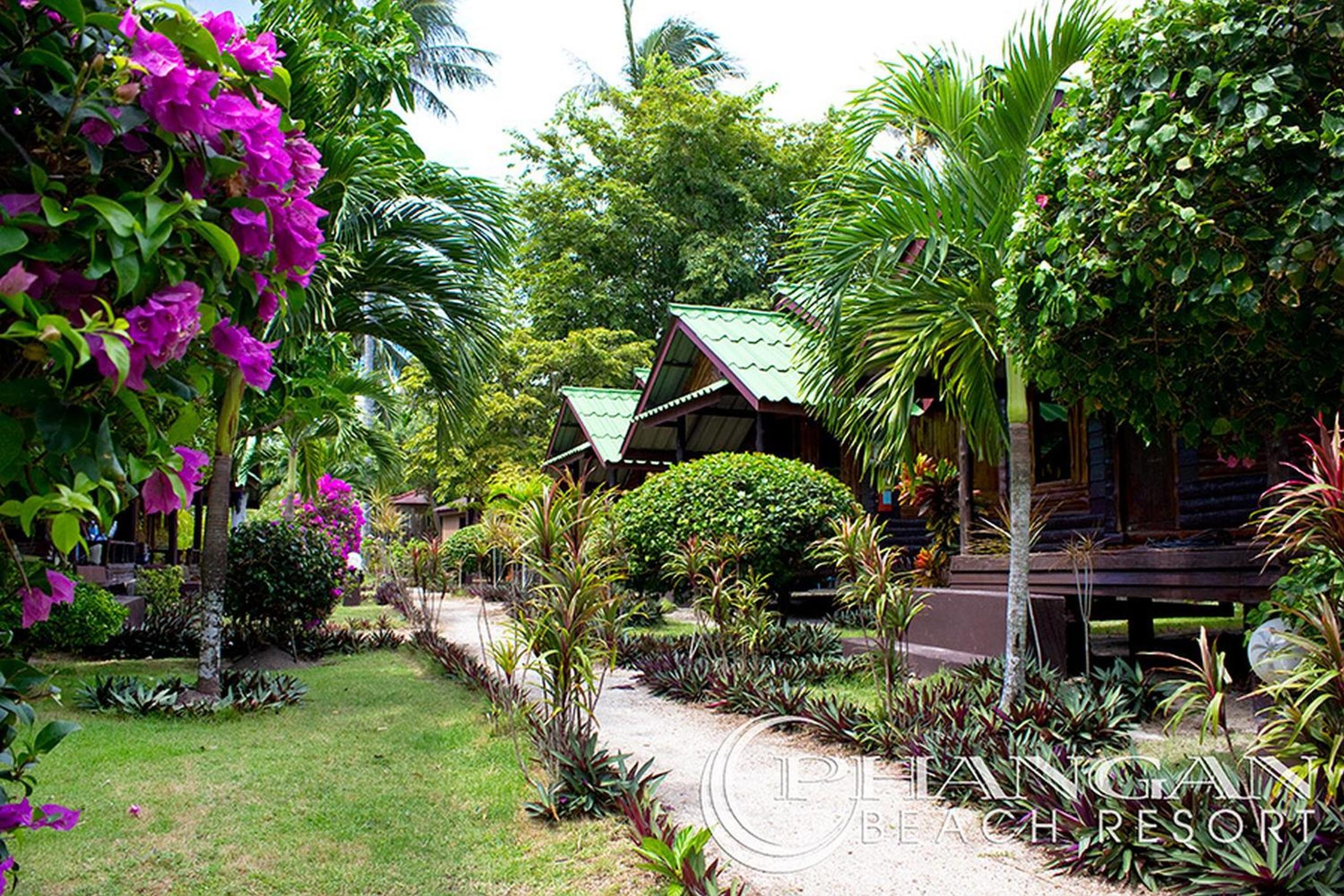 Phangan Beach Resort