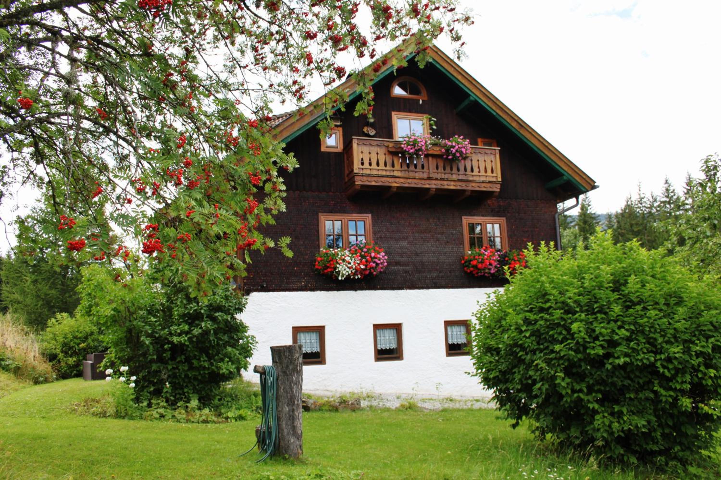 Ferienparadies Wiesenbauer