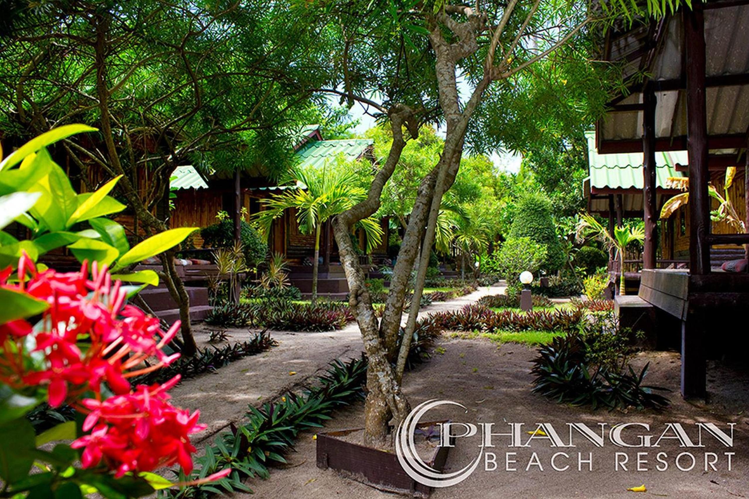 Phangan Beach Resort