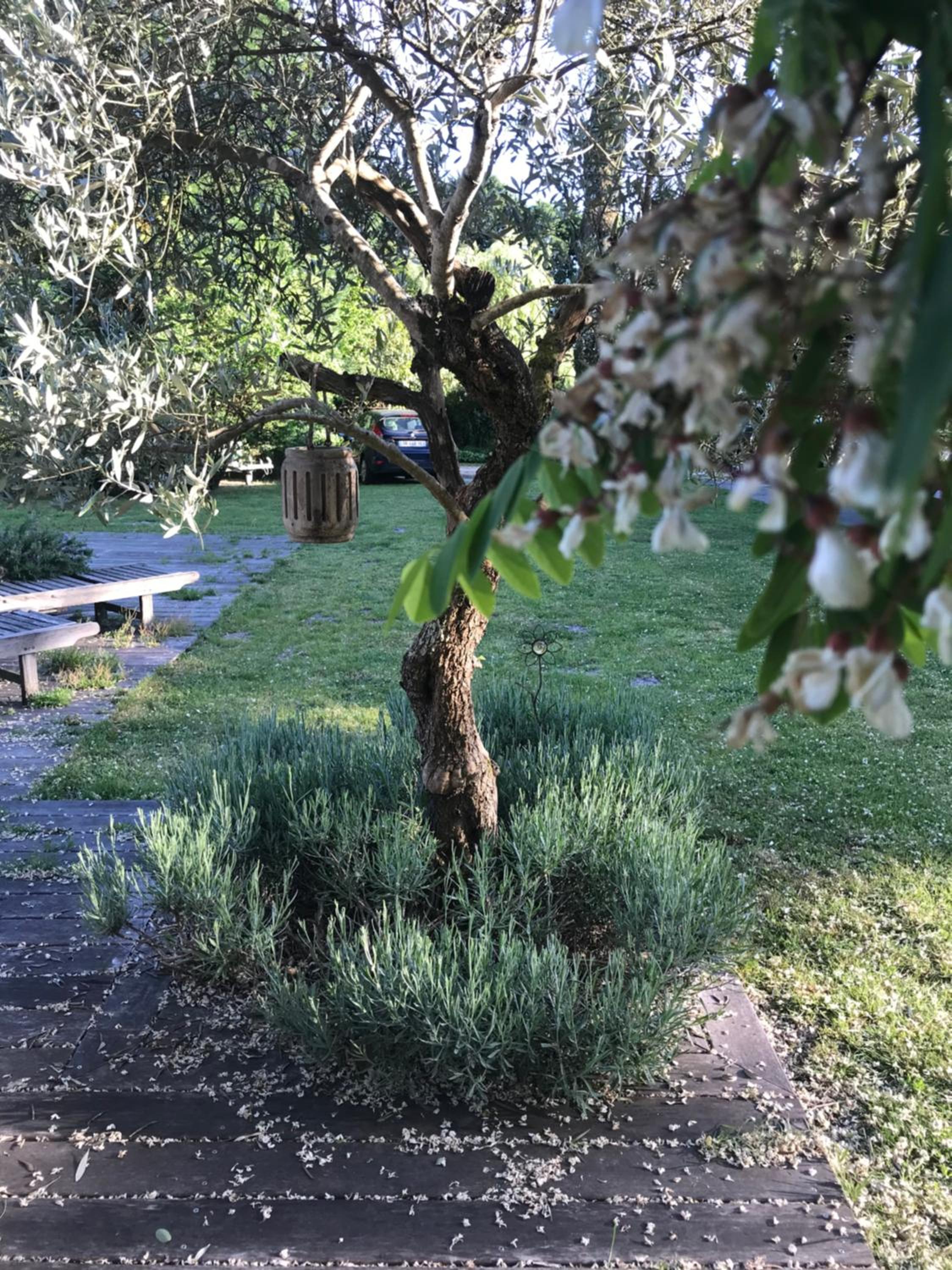 Photo 28