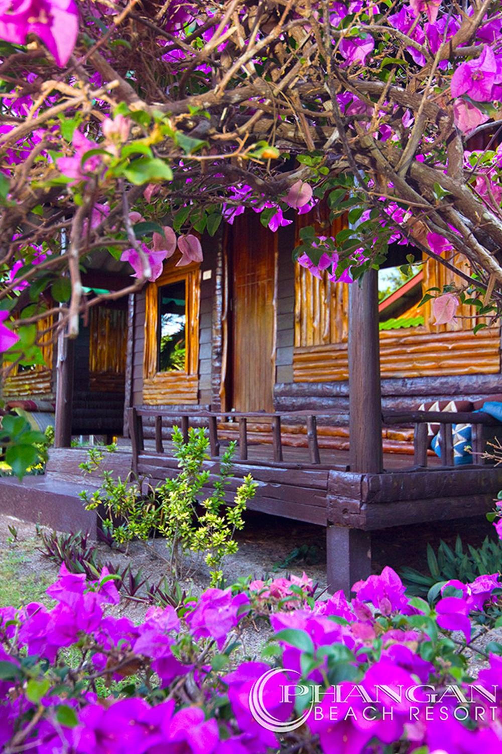 Phangan Beach Resort