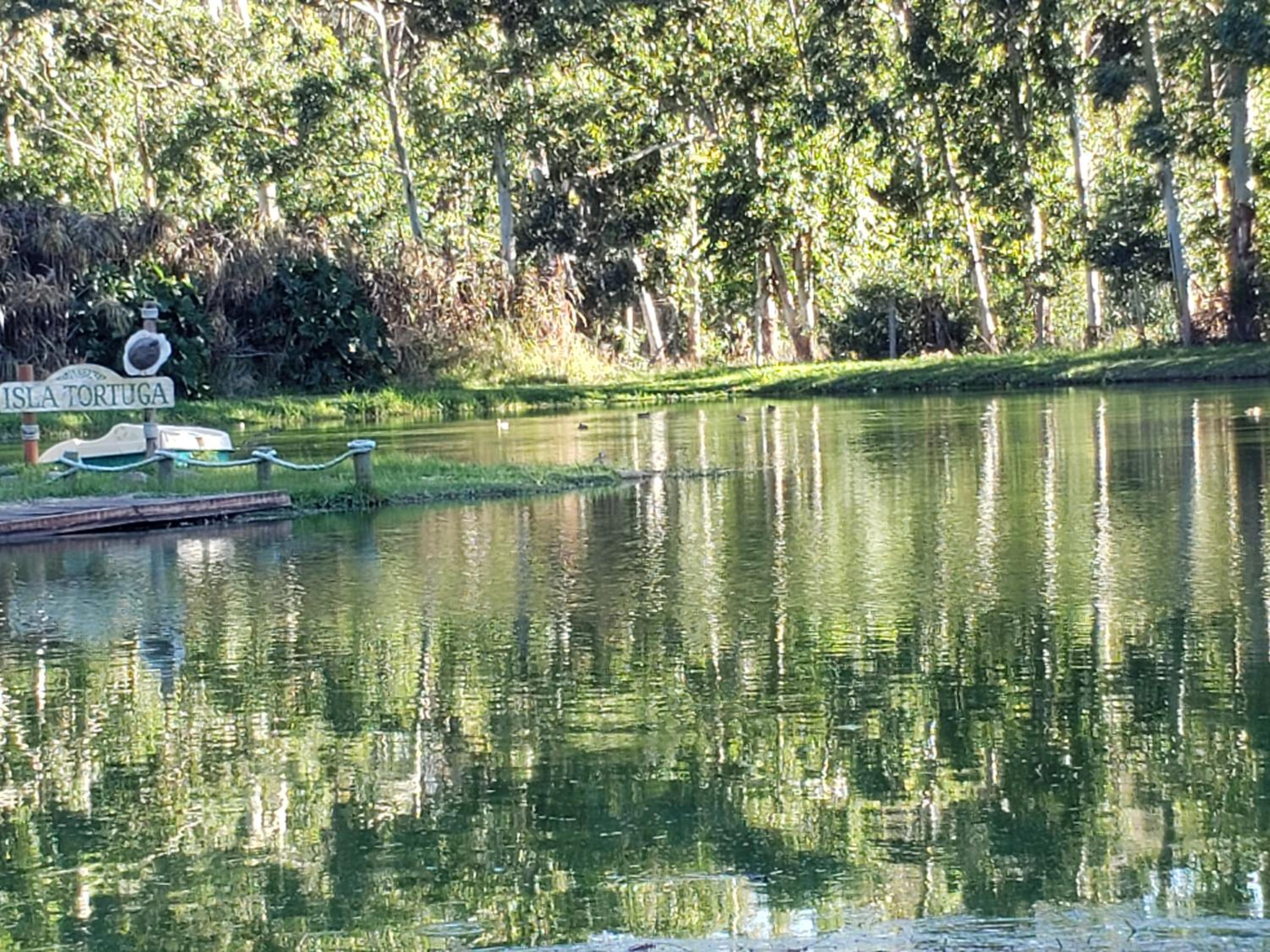 children's play area
