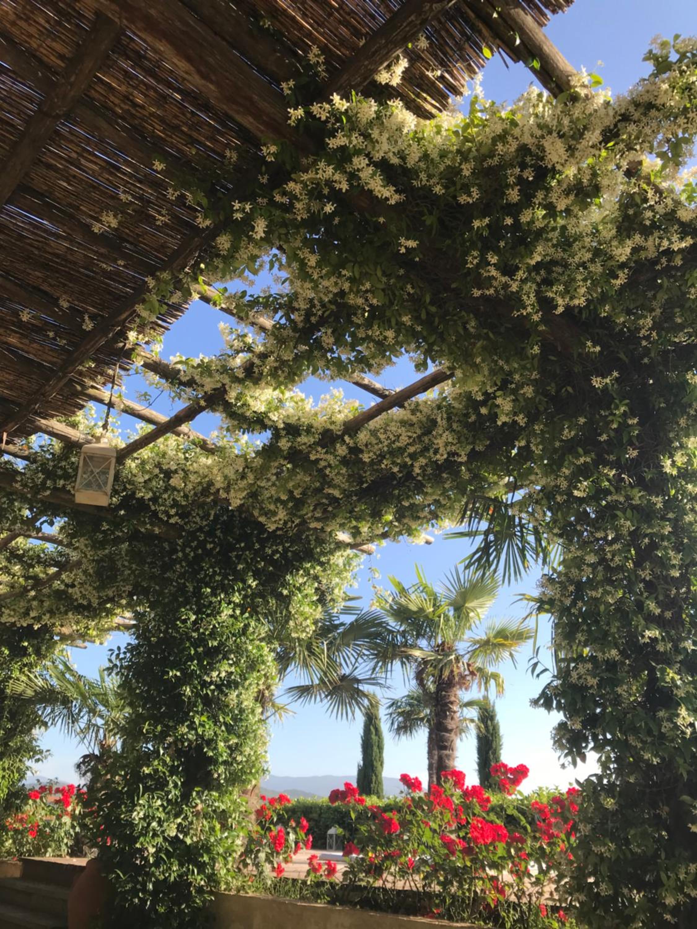 Agriturismo Materno