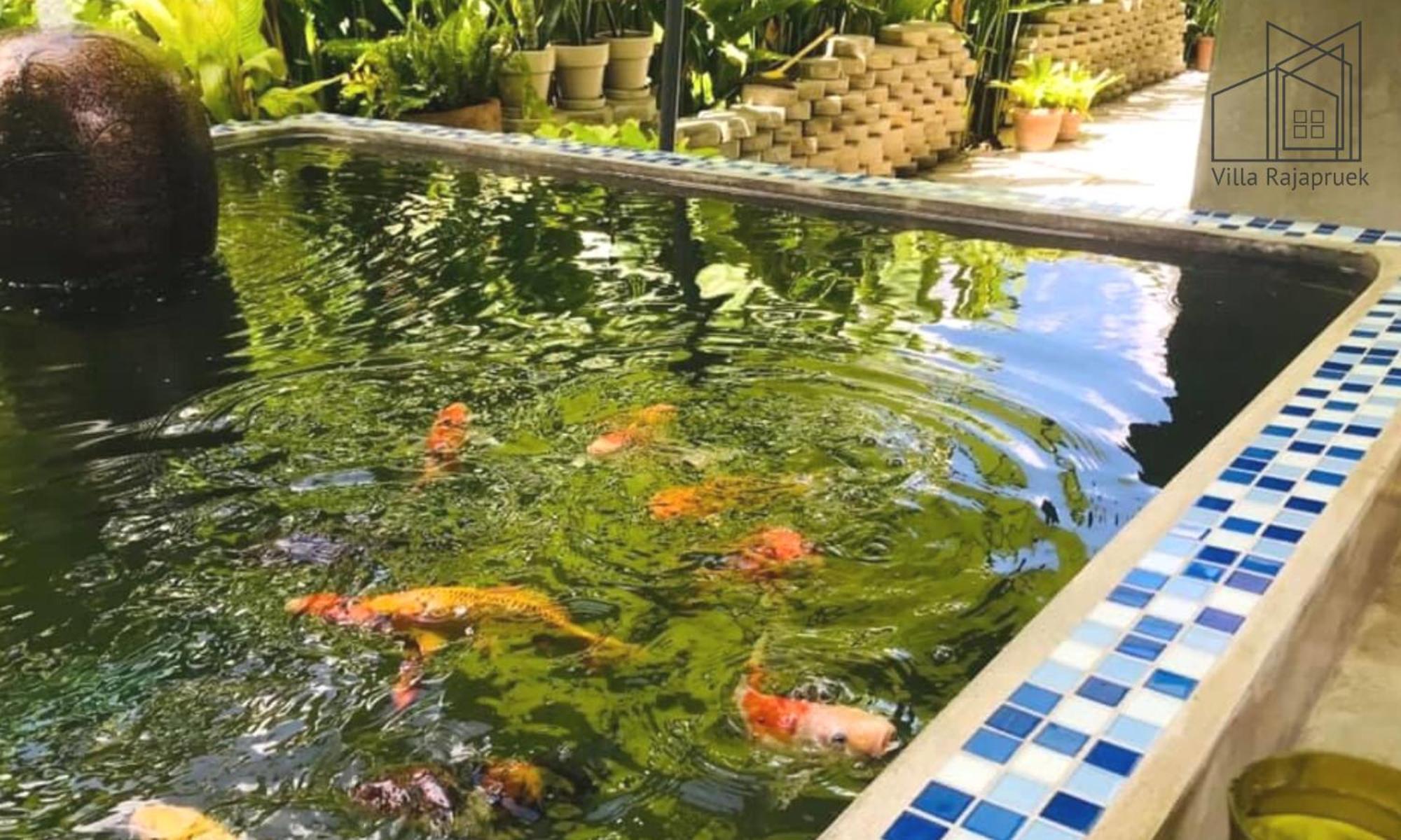 Villa Rajapruek 3 Villa Estates For A Group Daily Maid and Butler
