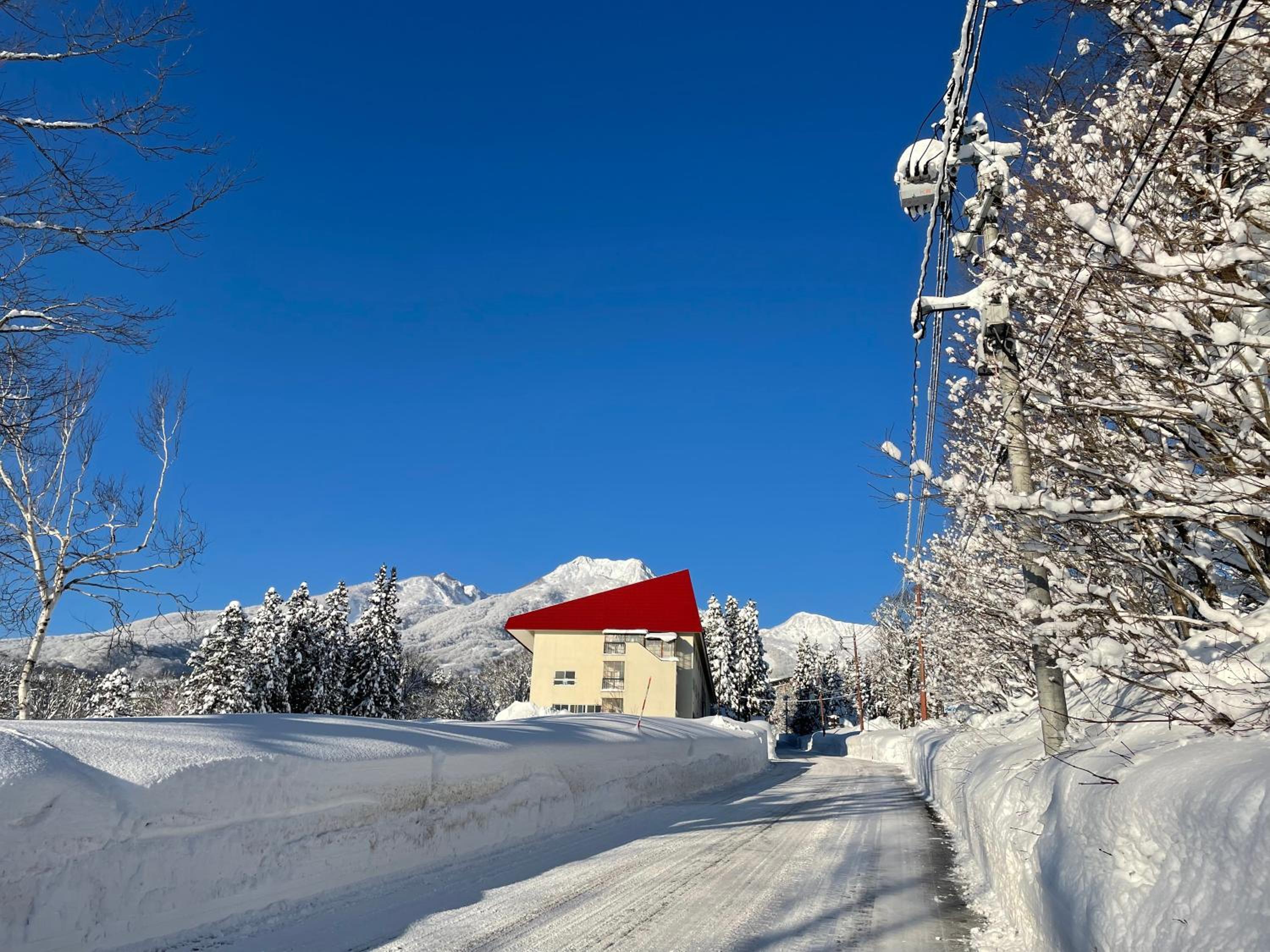 Myoko Woodland Lodge view 2