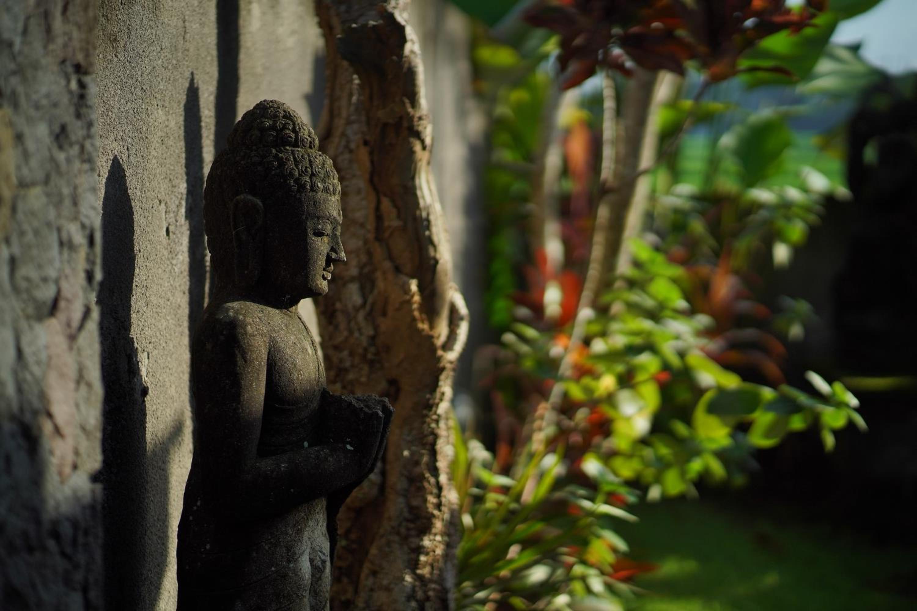 Asri Sari Ubud Resort