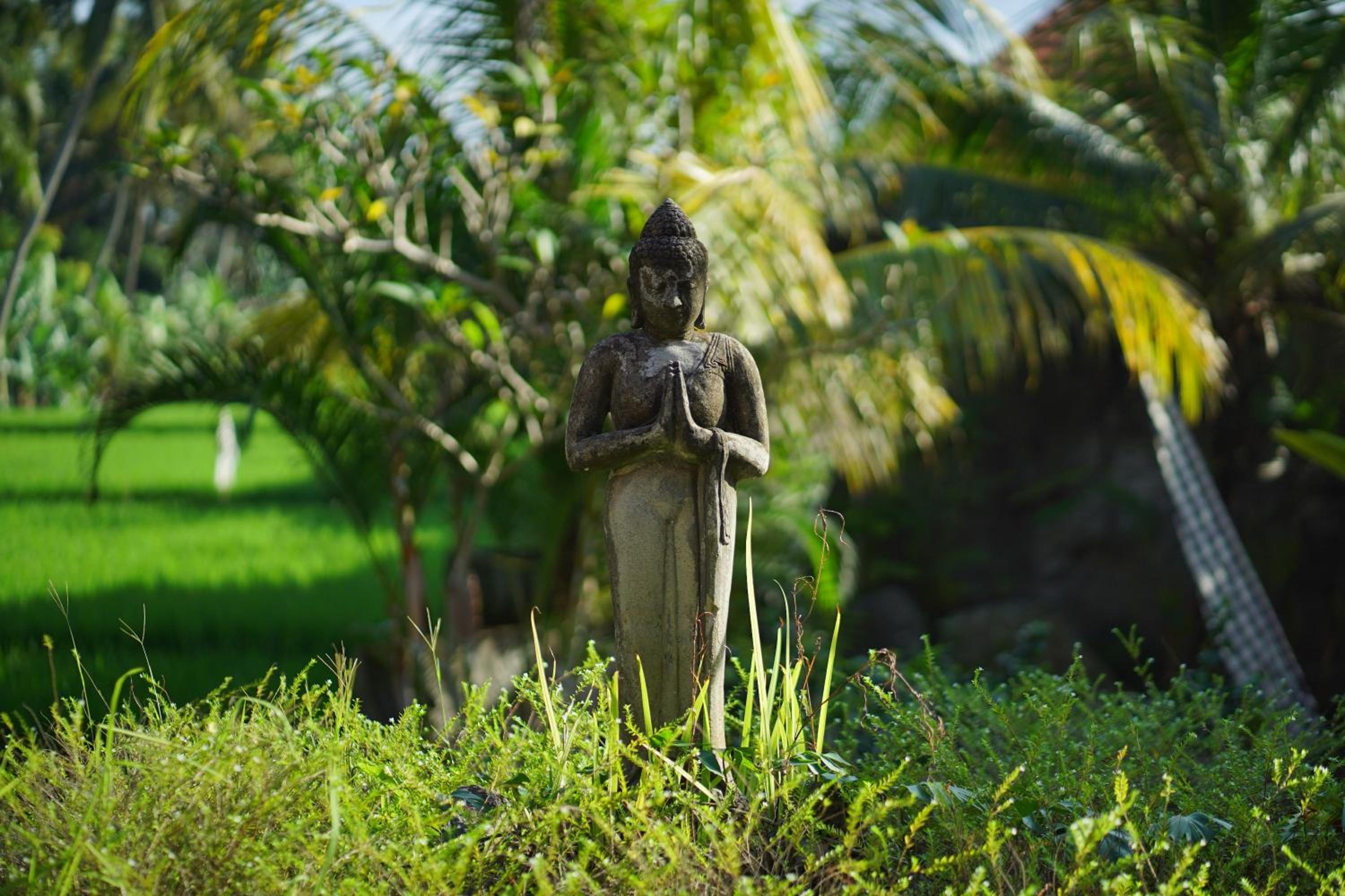 Asri Sari Ubud Resort