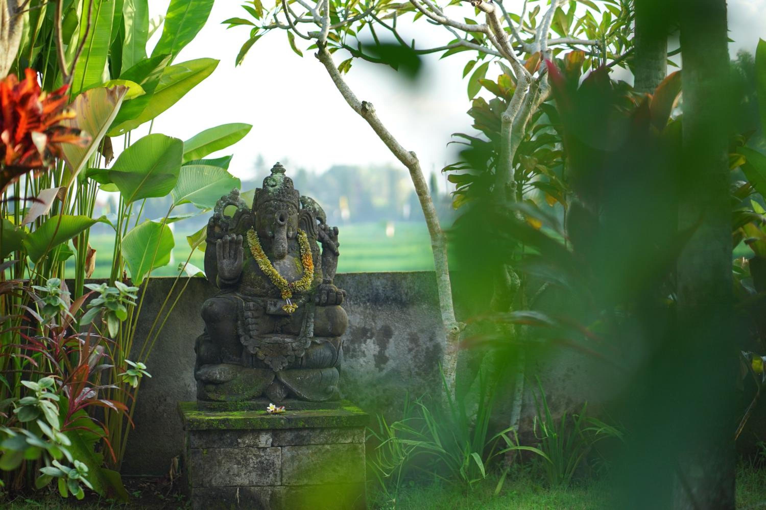 Asri Sari Ubud Resort