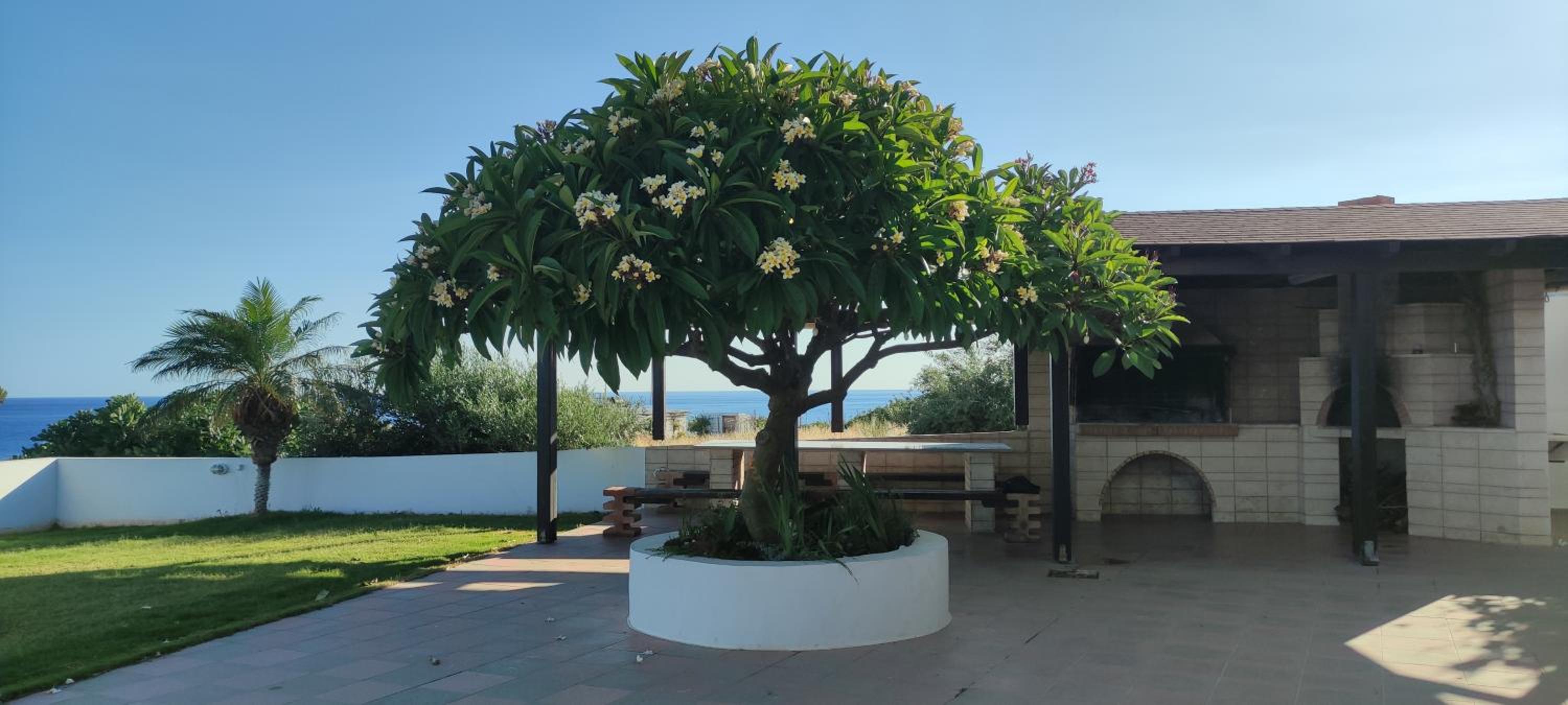 Sunset Apartment photo 5