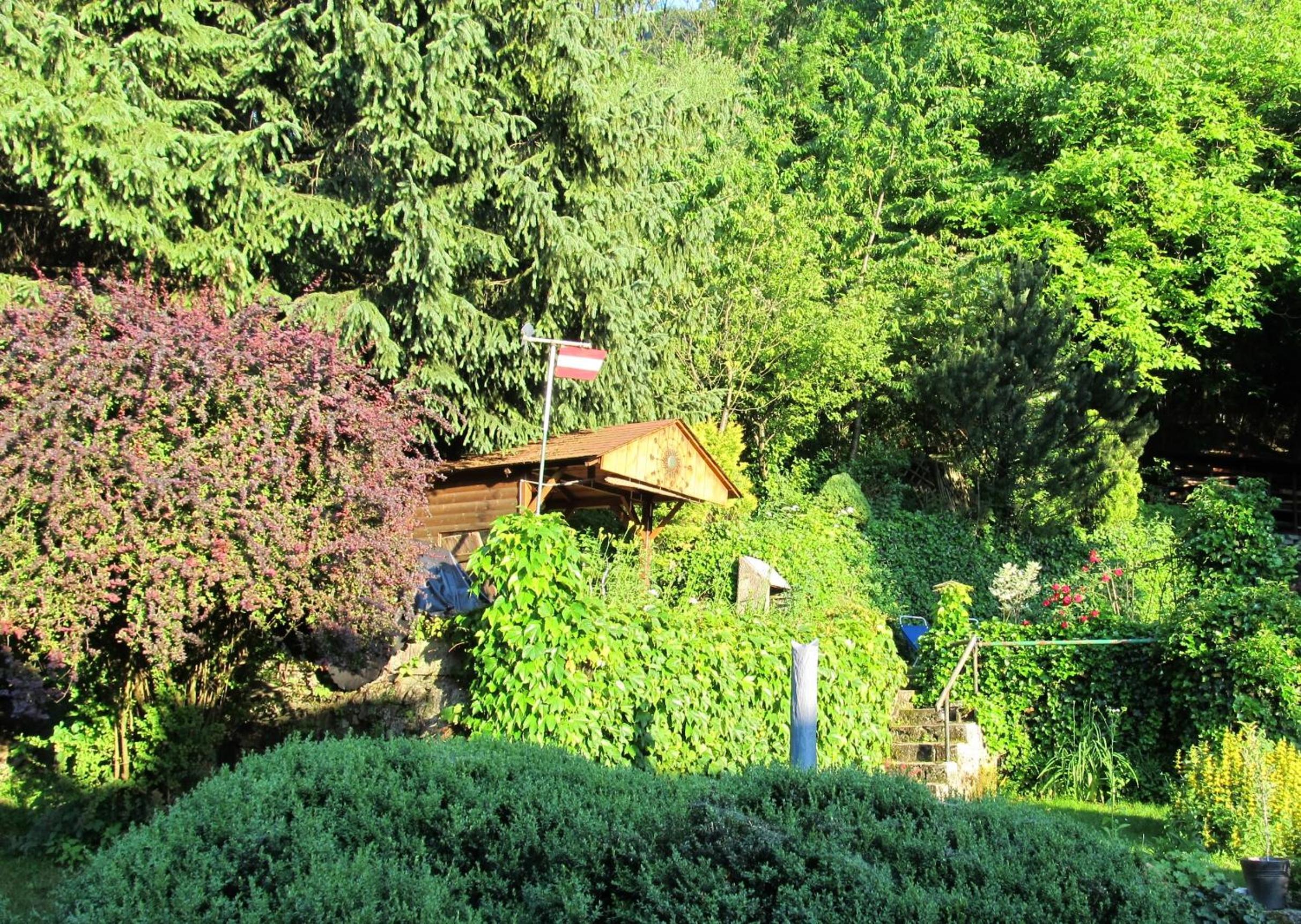 Photo 12