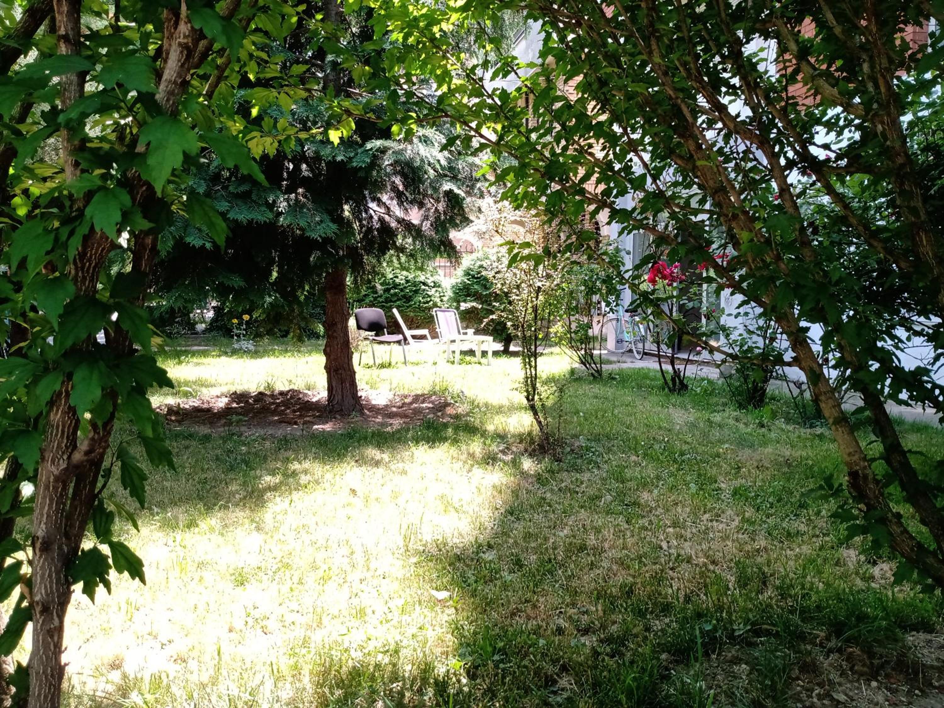 Photo 30
