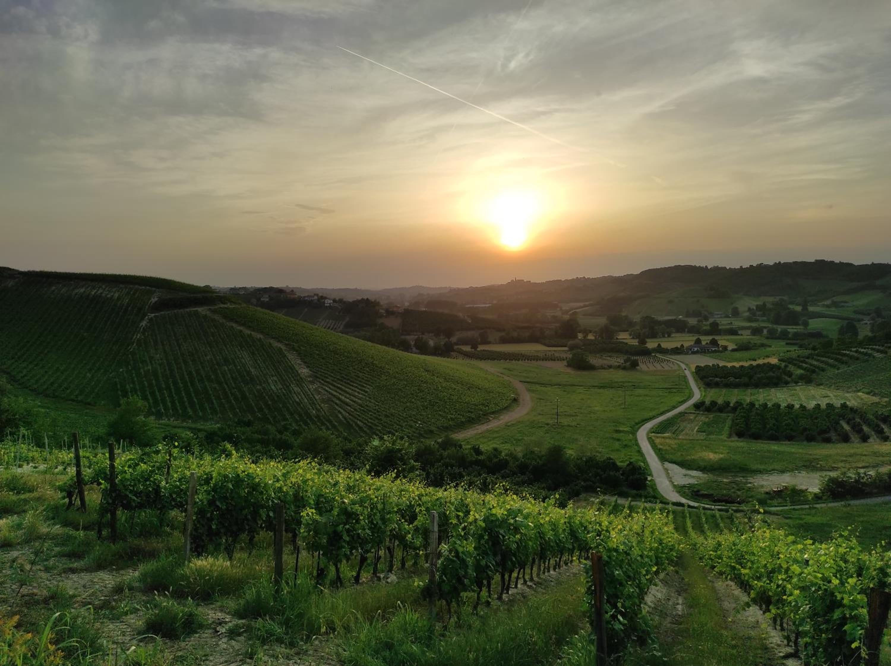 Oasi del Monferrato - appartamento verde view 4