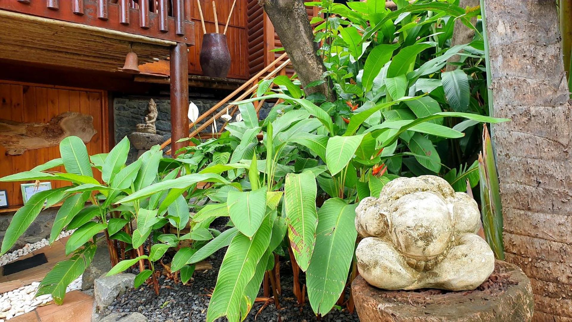 Lodge Roche Tamarin