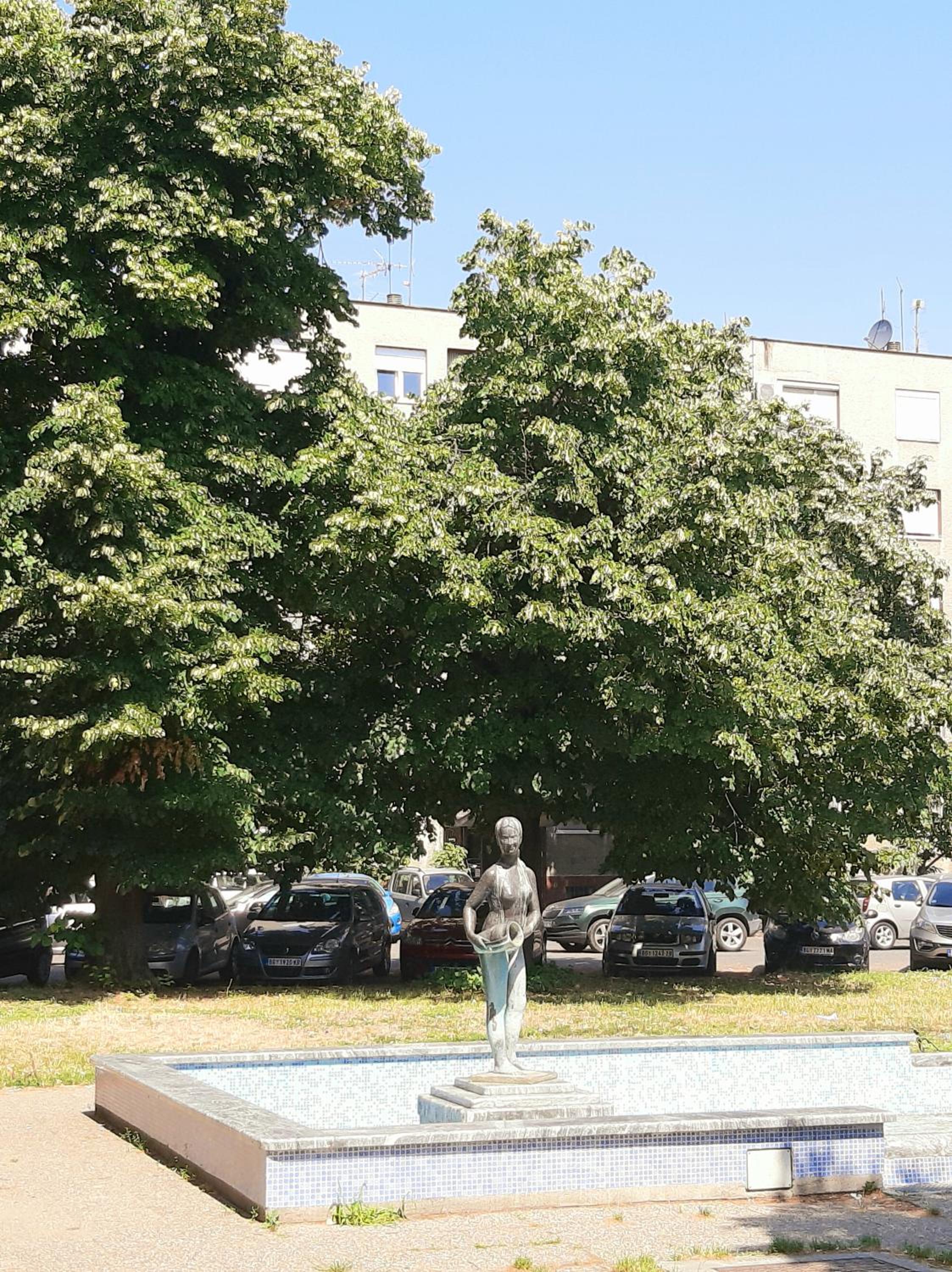 Photo 12