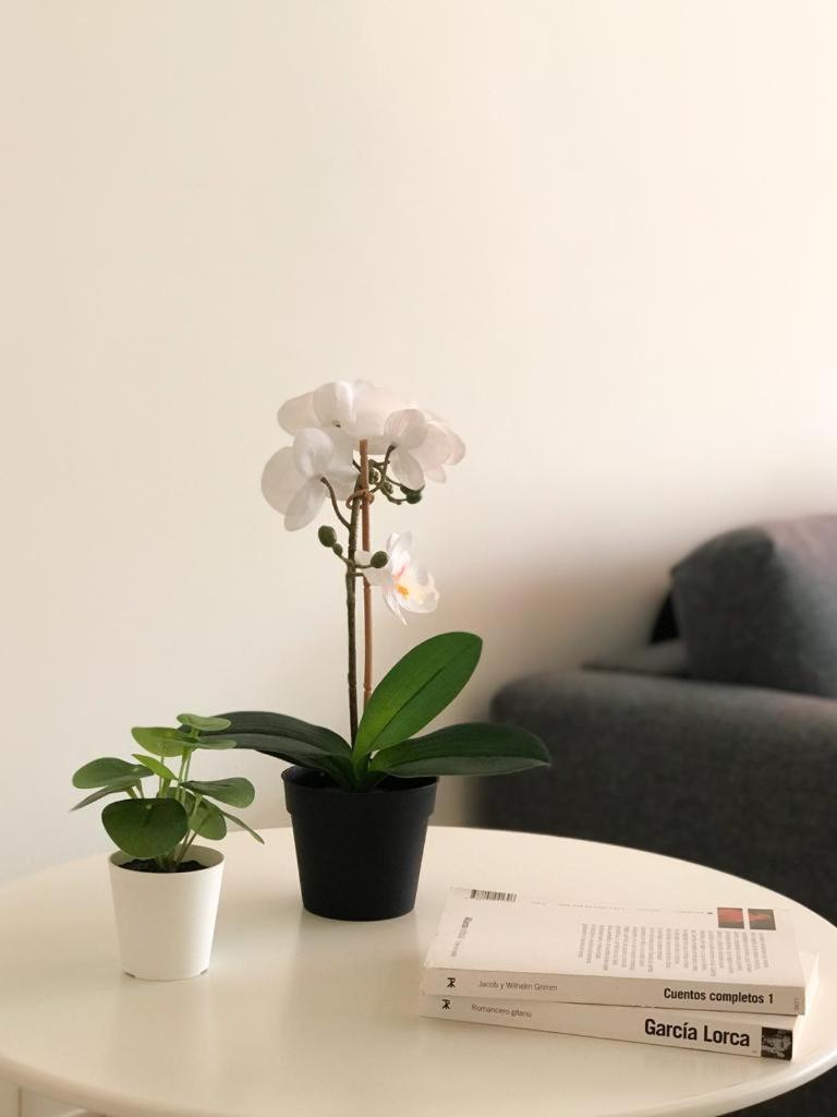 Carihuela Beach Suite Apartment