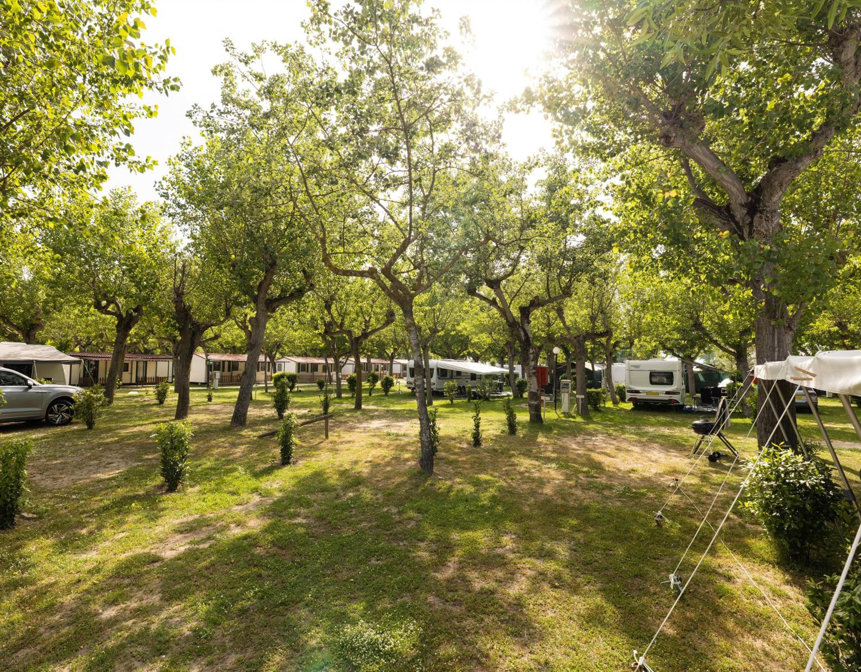 Camping Classe Village view 4