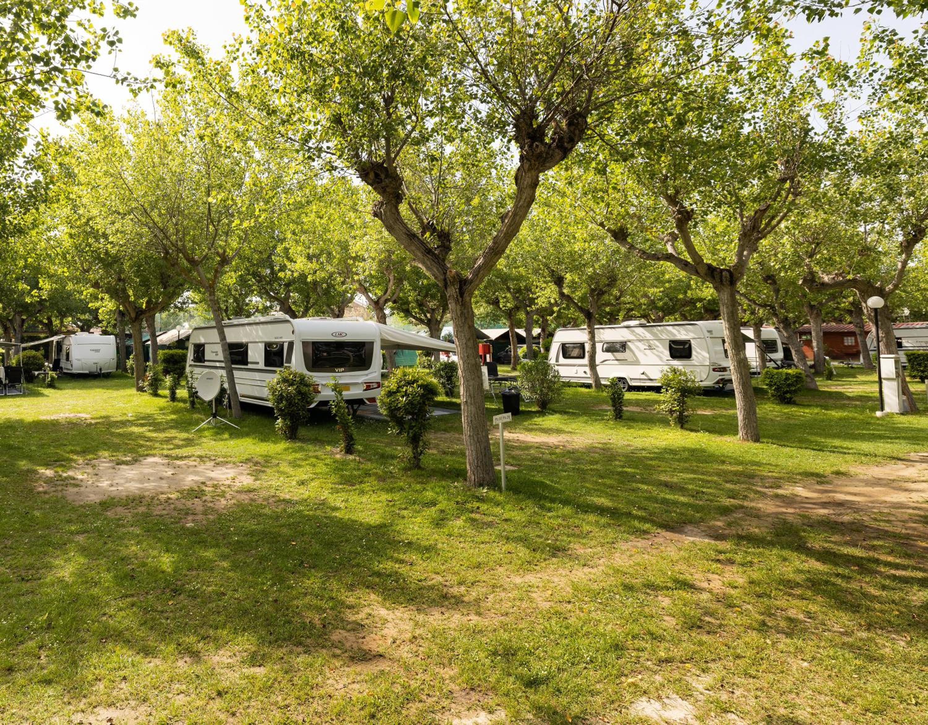 Camping Classe Village view 3