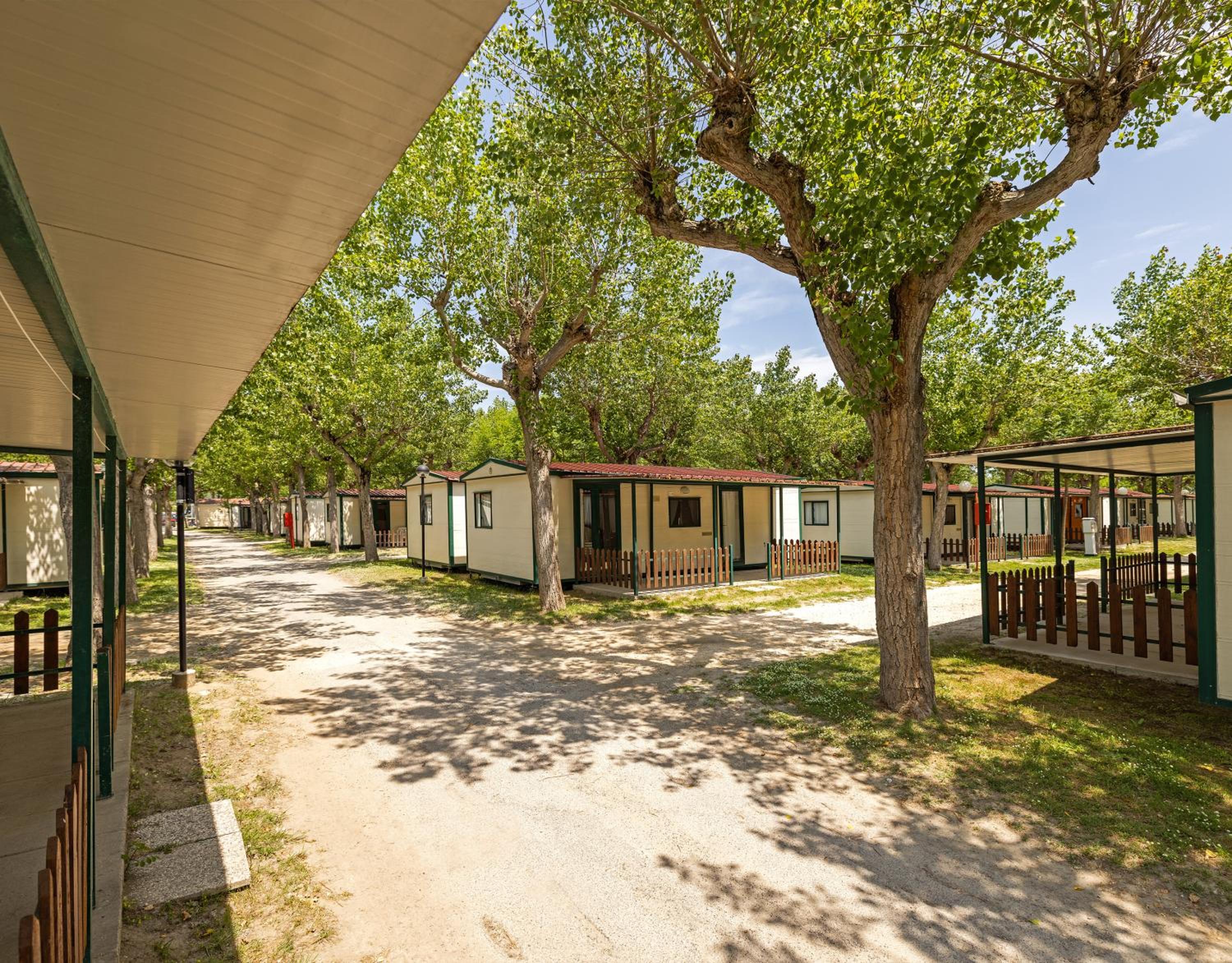 Camping Classe Village view 2